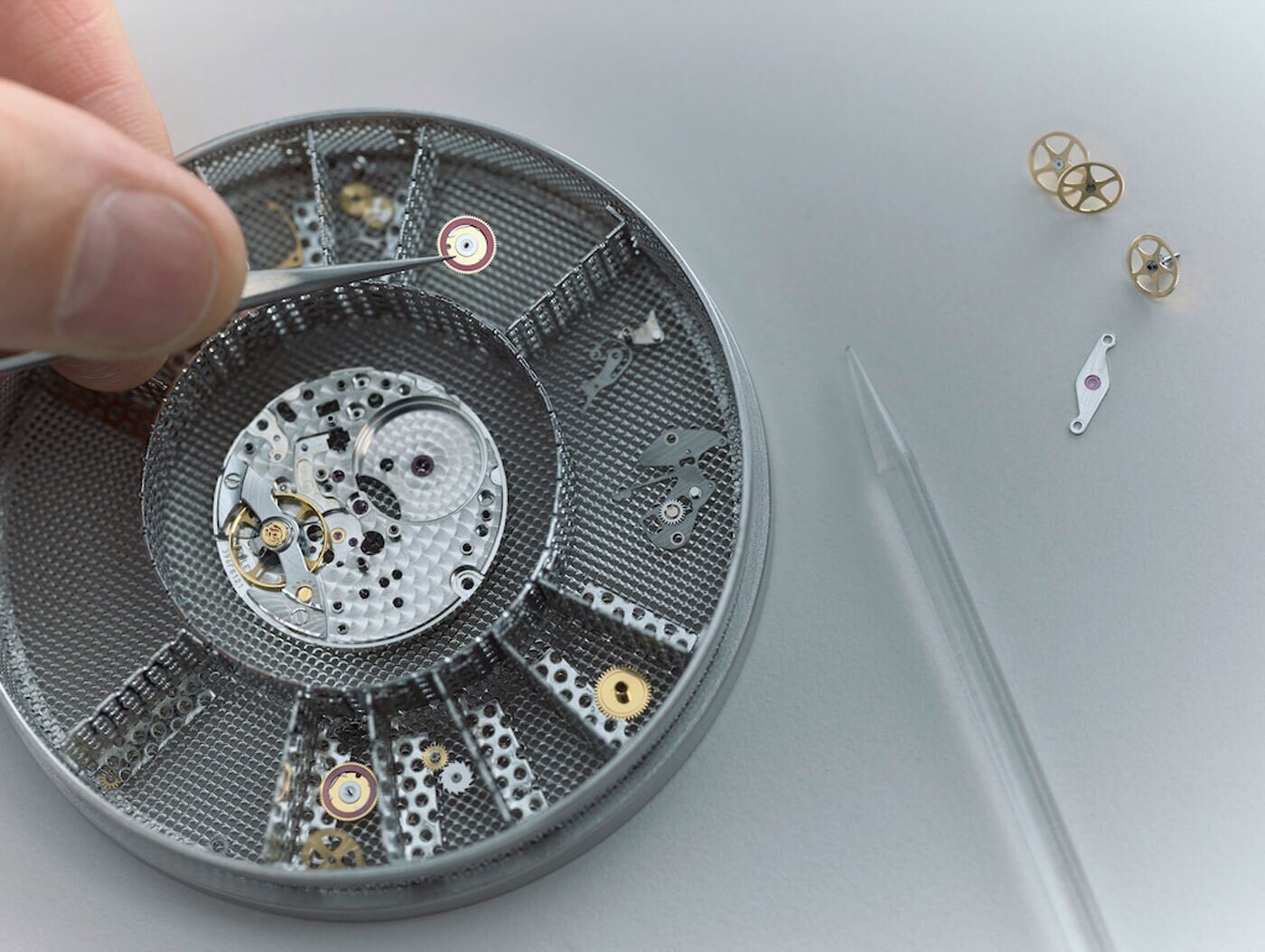 Kleine Einzelteile einer mechanischen Uhr liegen in einem Sieb zur Reinigung