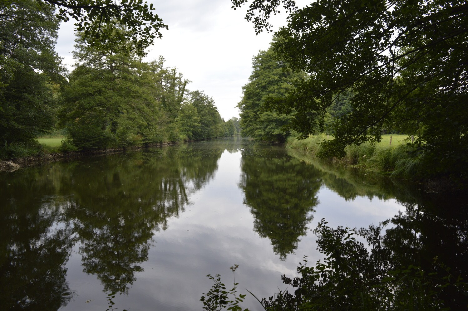 Ein ehemaliger Panzergraben umgeben von Wald und Wiese