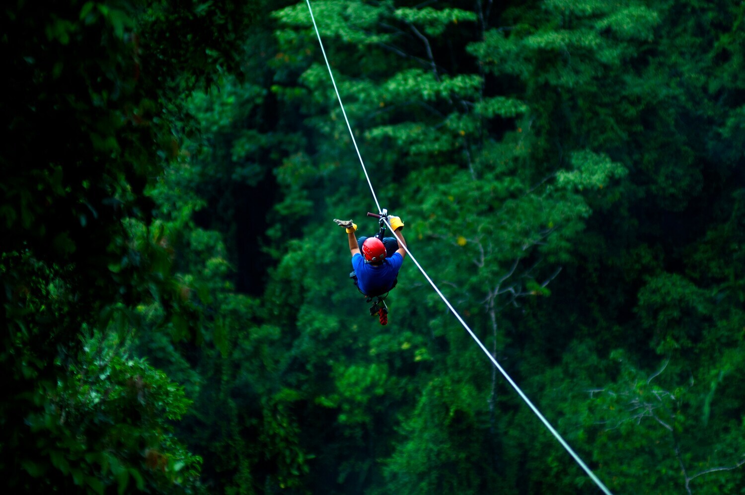 Ein Mann mit Helm gleitet an der Zipline über ein Waldgebiet
