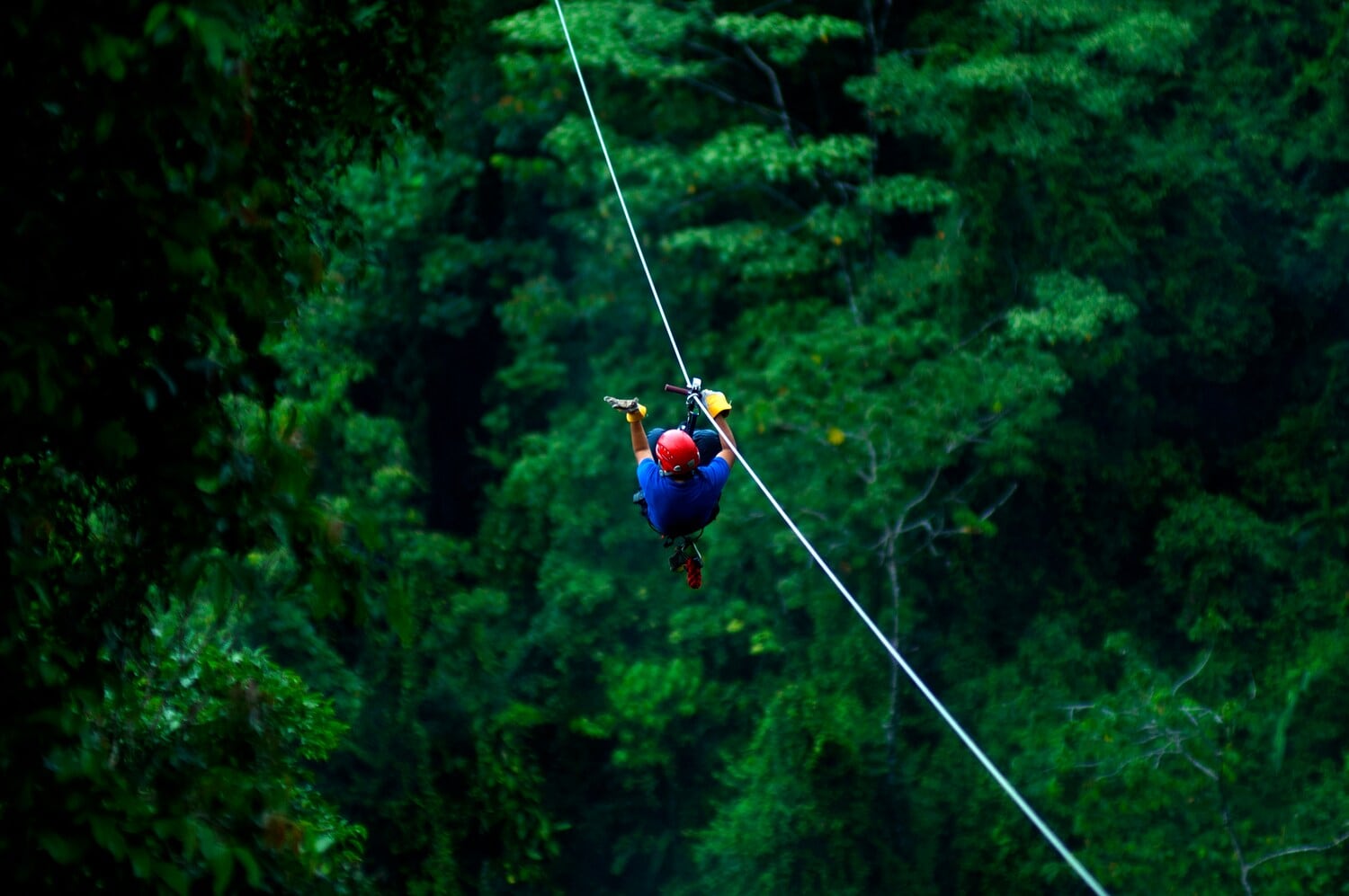 Ein Mann mit Helm gleitet an der Zipline über ein Waldgebiet Ein Mann mit Helm gleitet an der Zipline über ein Waldgebiet