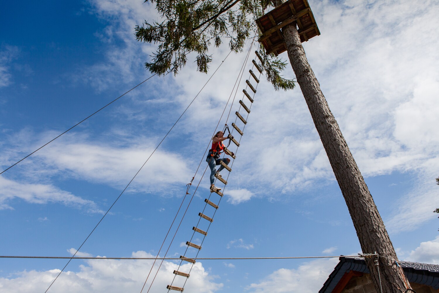 Eine Frau klettert an einer Hängeleiter zu einer Plattform im Baum herauf Eine Frau klettert an einer Hängeleiter zu einer Plattform im Baum herauf