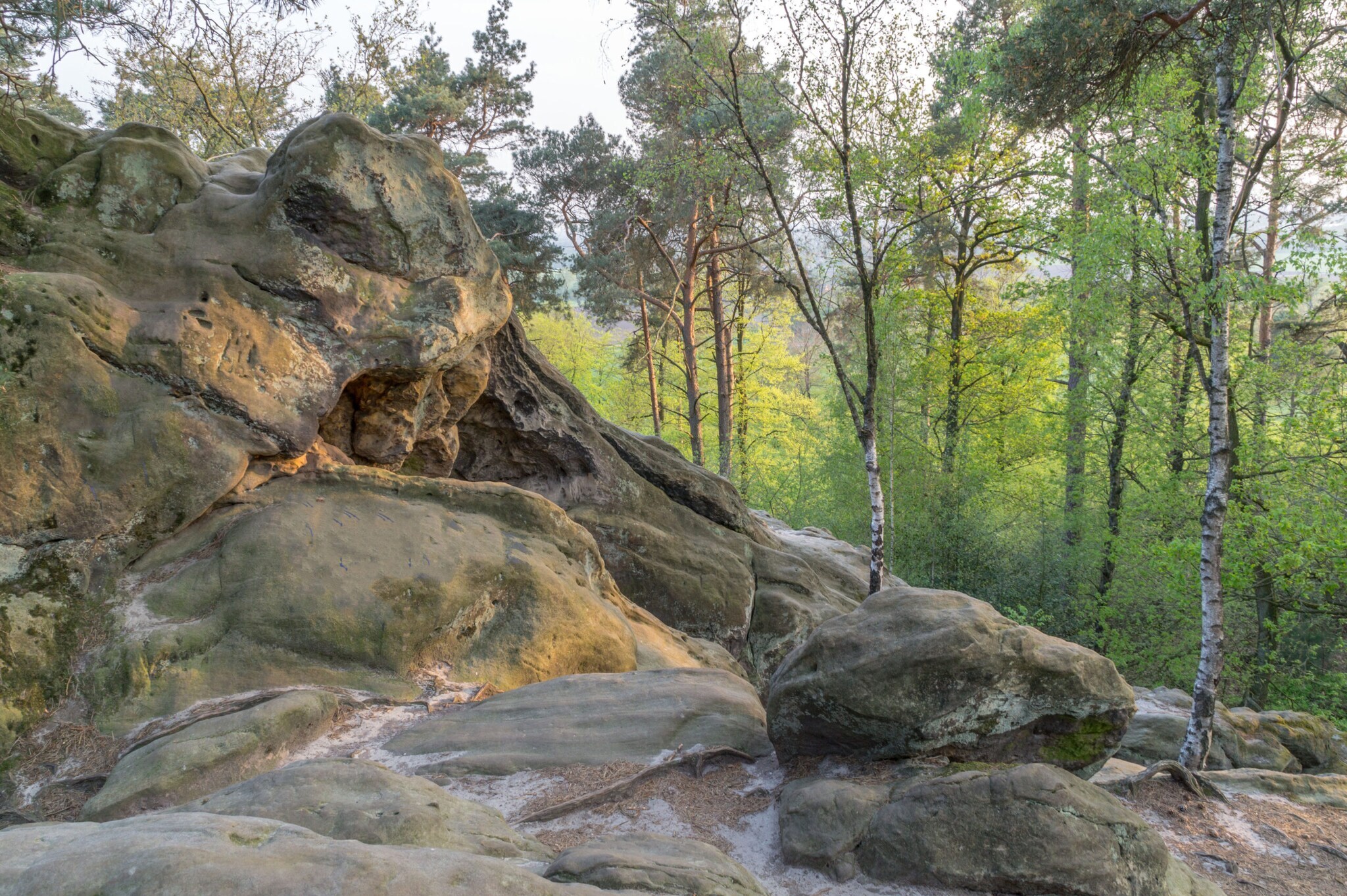 Blick auf die Dörenther Klippen im Teutoburger Wald.