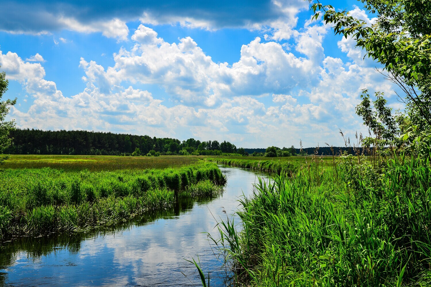 Blick auf die Eider in Schleswig-Holstein