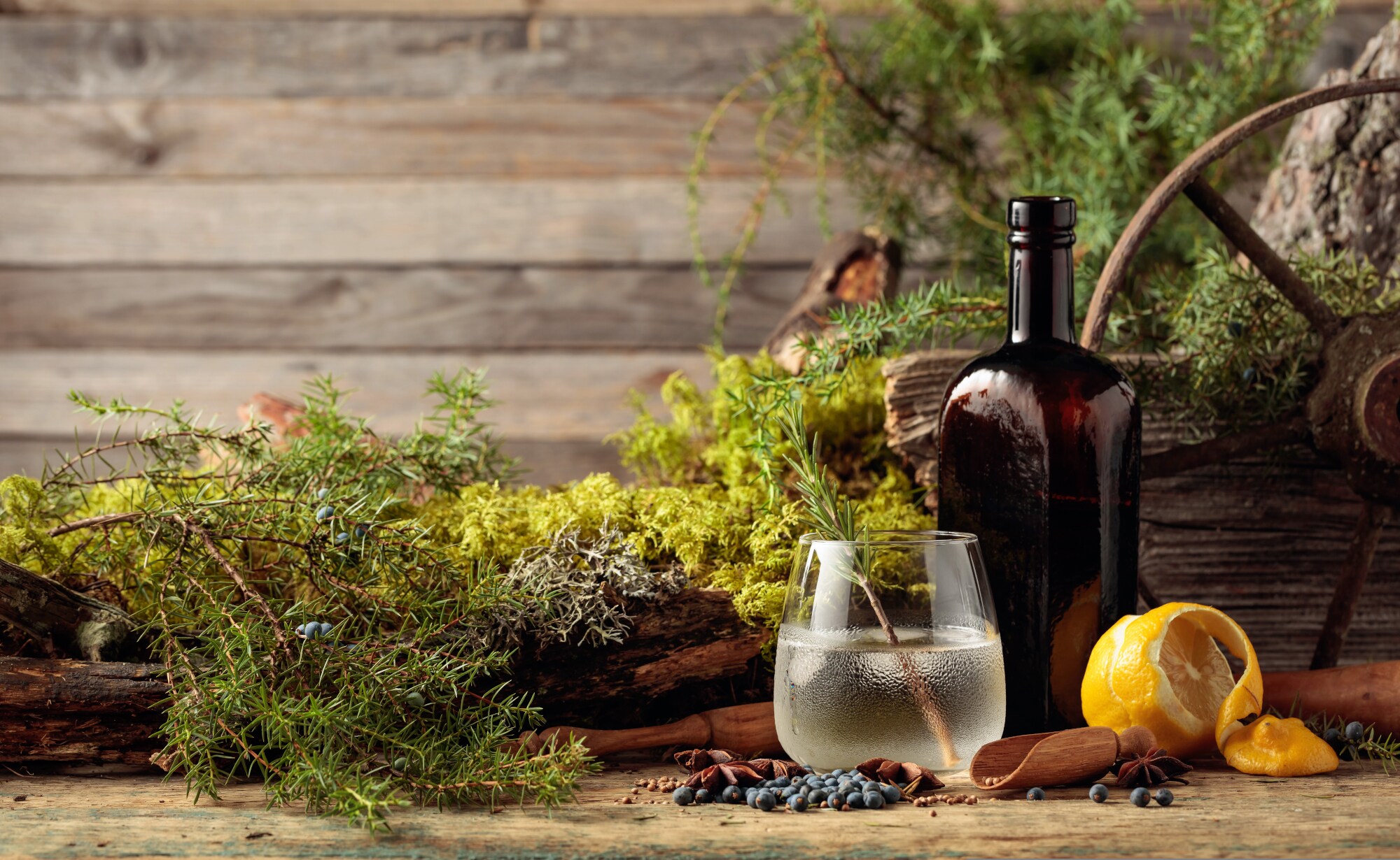 Ein Glas Gin Tonic mit Eis und einem Zweig Rosmarin Ein Glas Gin Tonic mit Eis und einem Zweig Rosmarin