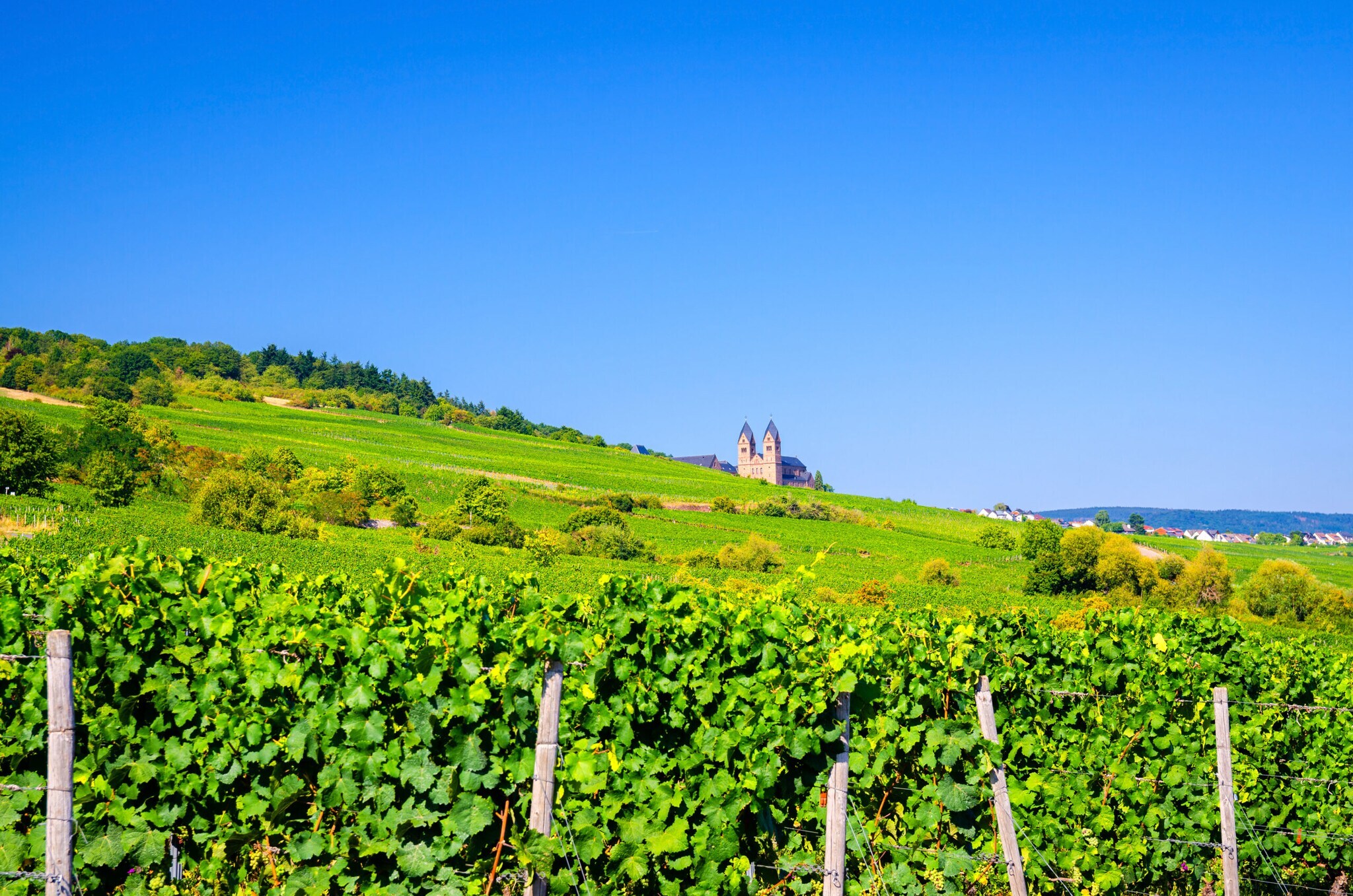 Eine mittelalterliche Abtei inmitten eines Weinbergs
