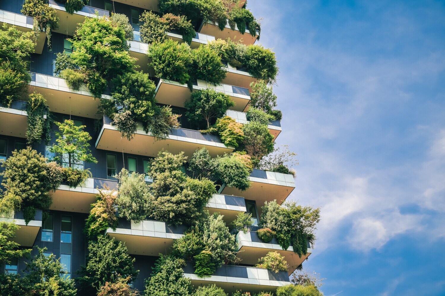 Eine begrünte Hausfassade