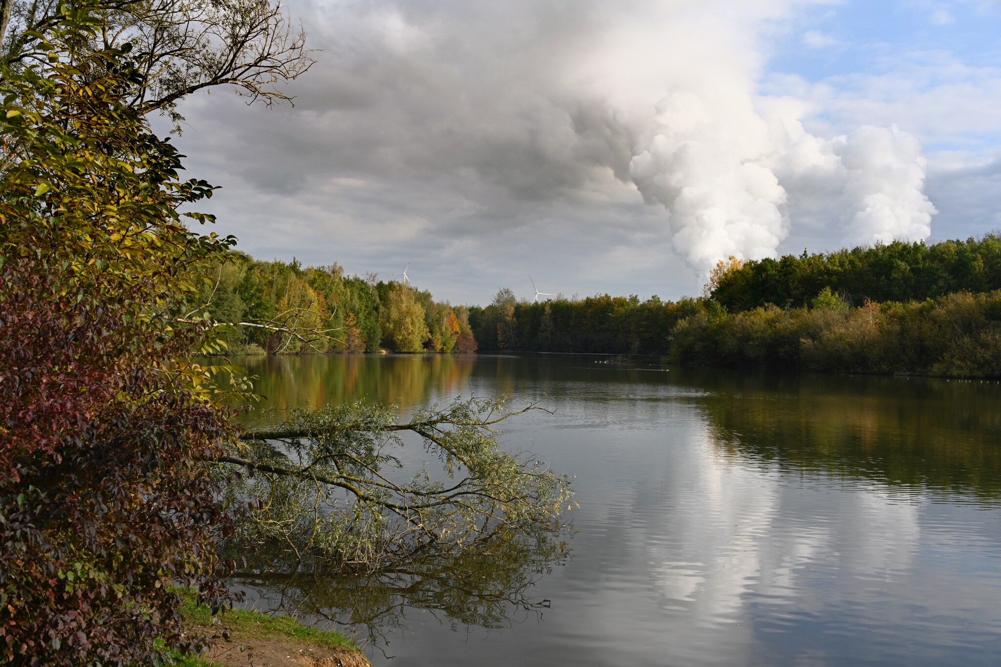 Ein von herbstlich verfärbten Bäumen umgebener See