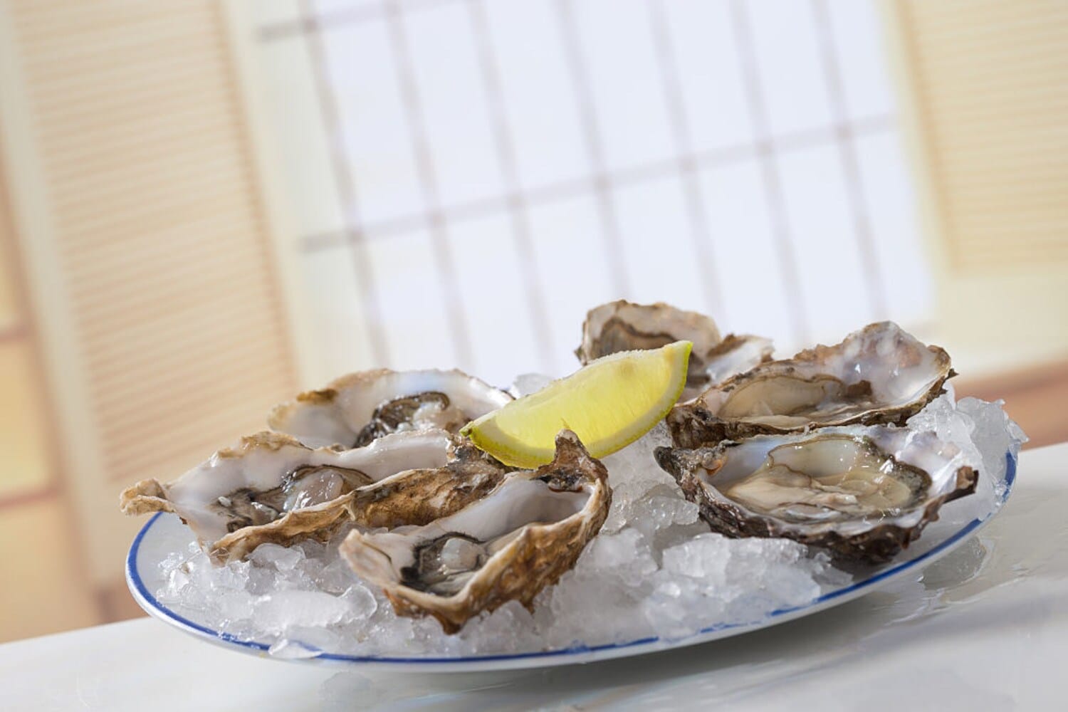 Eine große Schale mit Austern und einer ganzen Zitrone