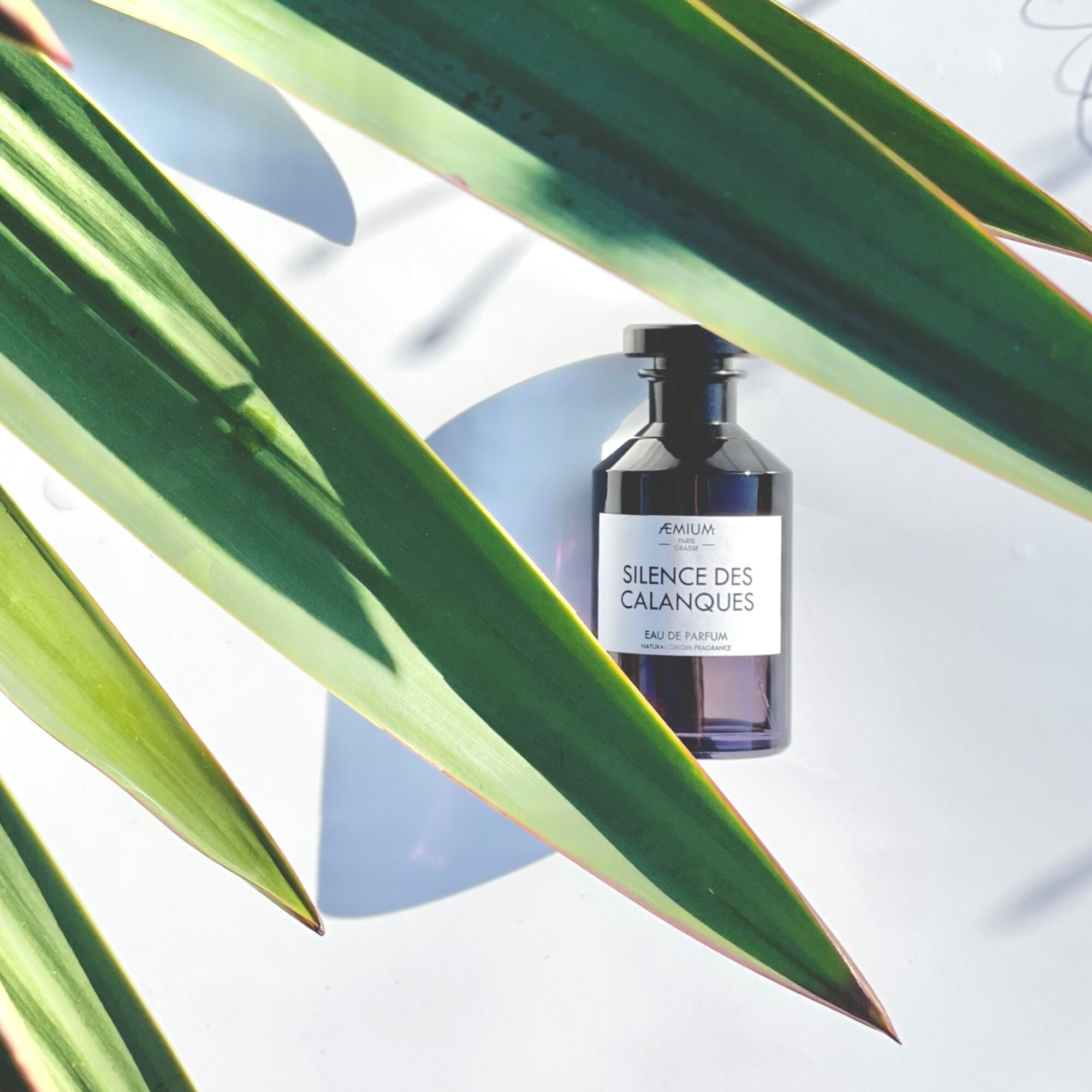 Ein Glasflakon in Apotheker-Optik hinter spitzen, grünen Blättern