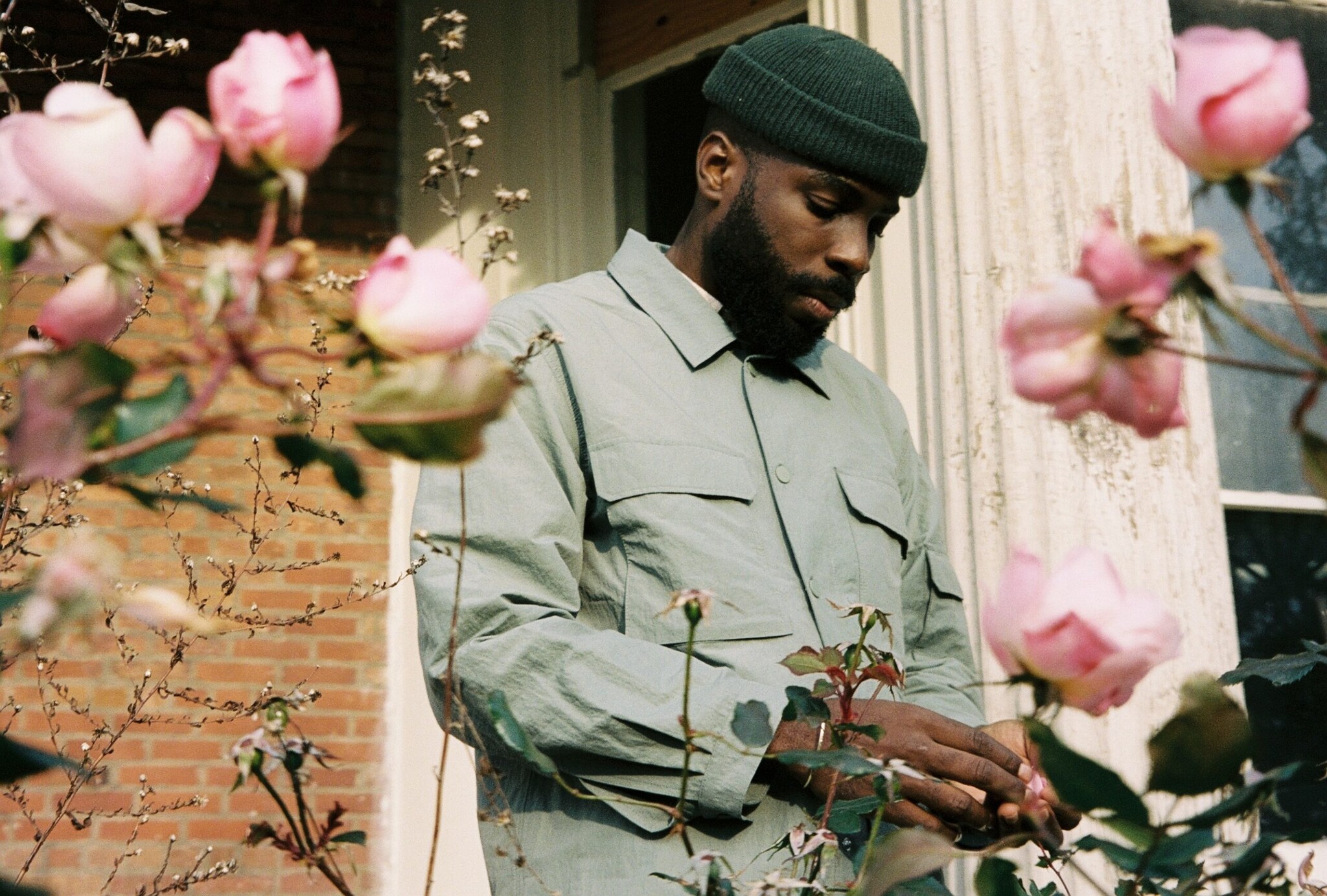 Ein Mann mit Vollbart zwischen Rosenbüschen, er trägt ein tannengrünes Strickbeanie und lindgrünes Hemd Ein Mann mit Vollbart zwischen Rosenbüschen, er trägt ein tannengrünes Strickbeanie und lindgrünes Hemd