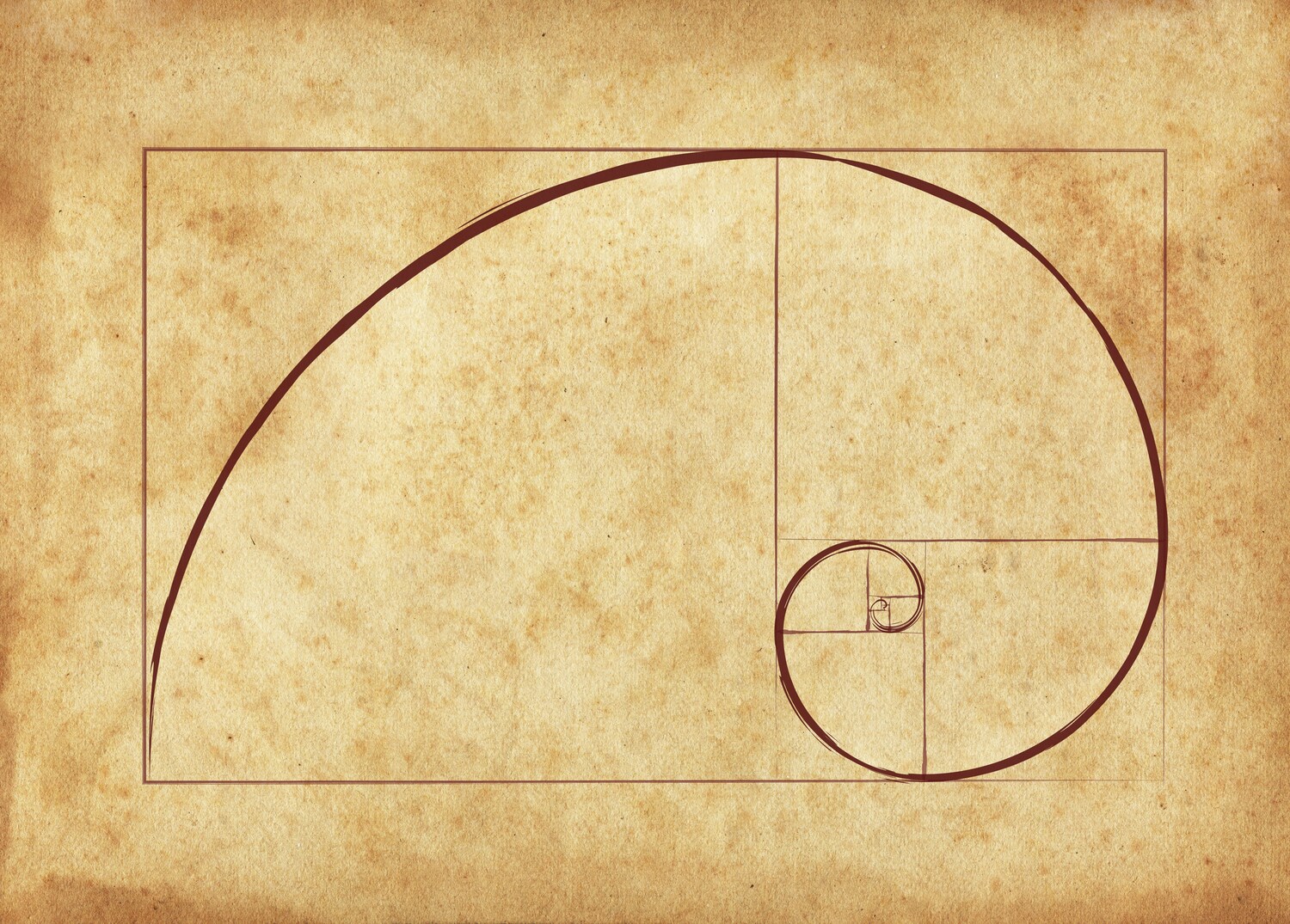 Zeichnung einer Fibonacci-Spirale auf Pergamentpapier