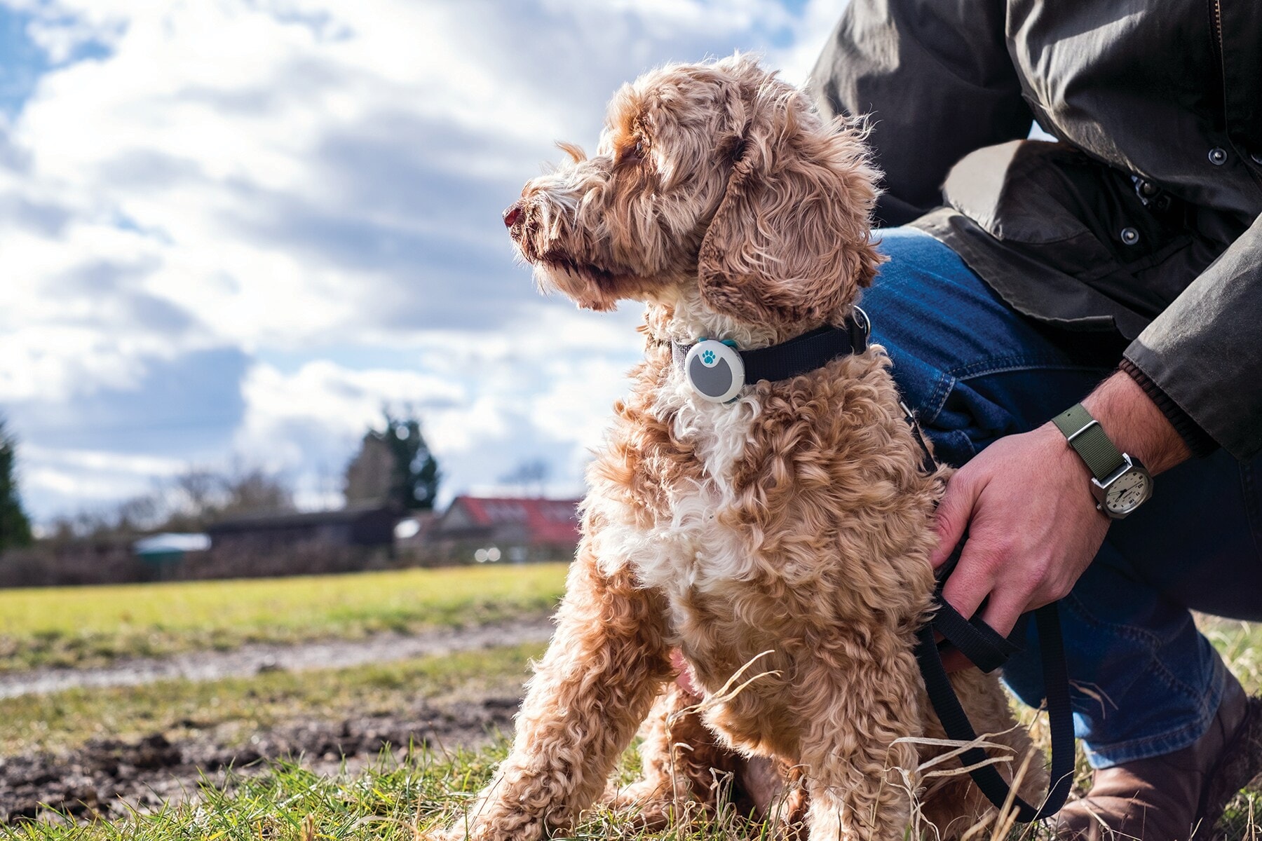 Eine Person kniet auf einer Wiese neben einem Hund, der einen Tracker am Halsband trägt Eine Person kniet auf einer Wiese neben einem Hund, der einen Tracker am Halsband trägt