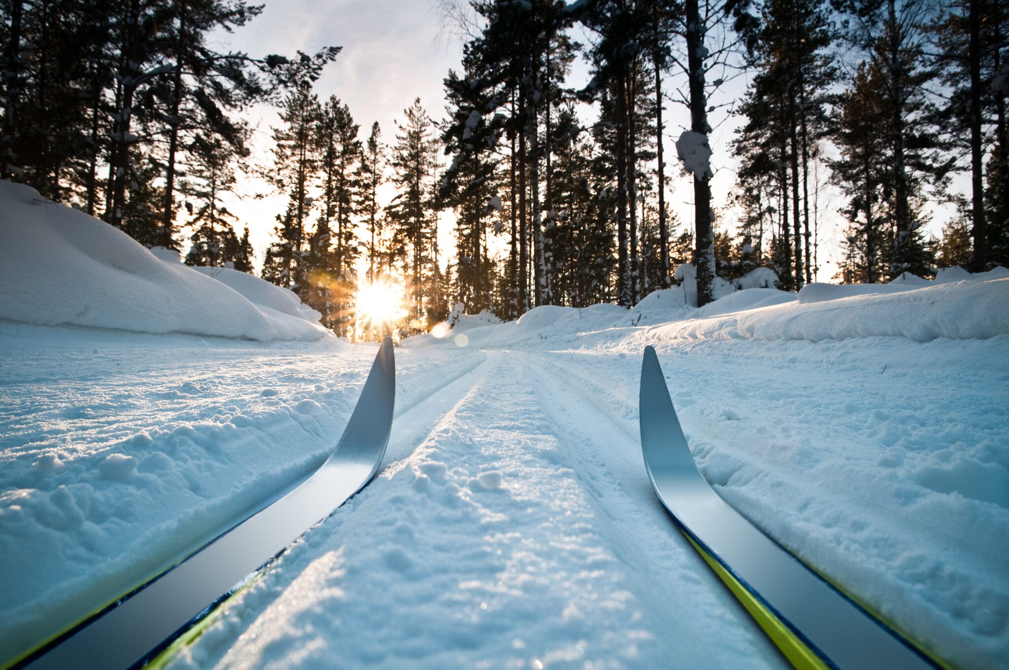 Zwei Langlaufski im Schnee vor einem Wald mit Sonnenschein.