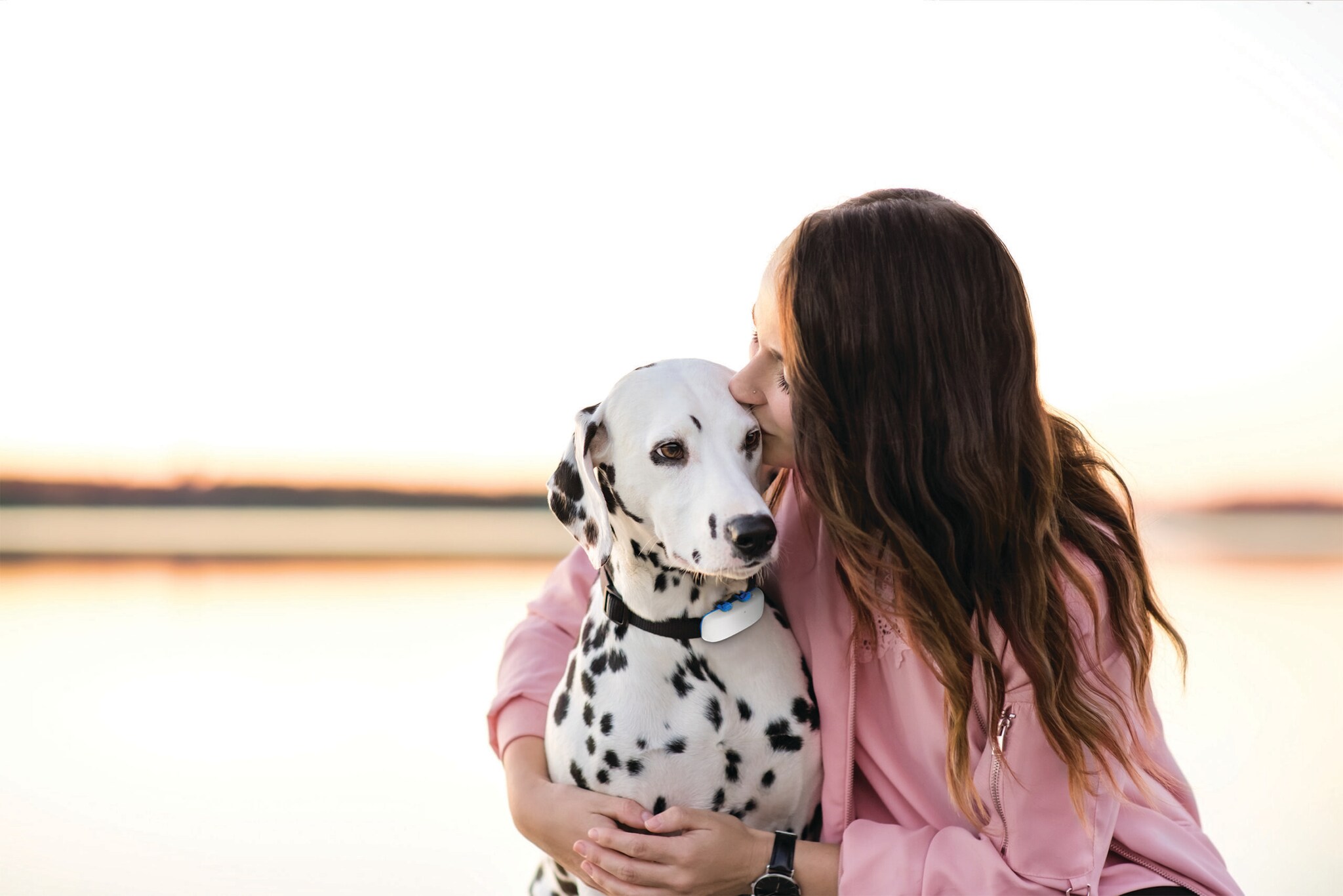 Eine Frau umarmt einen Dalmatiner, der einen GPS-Tracker am Halsband trägt