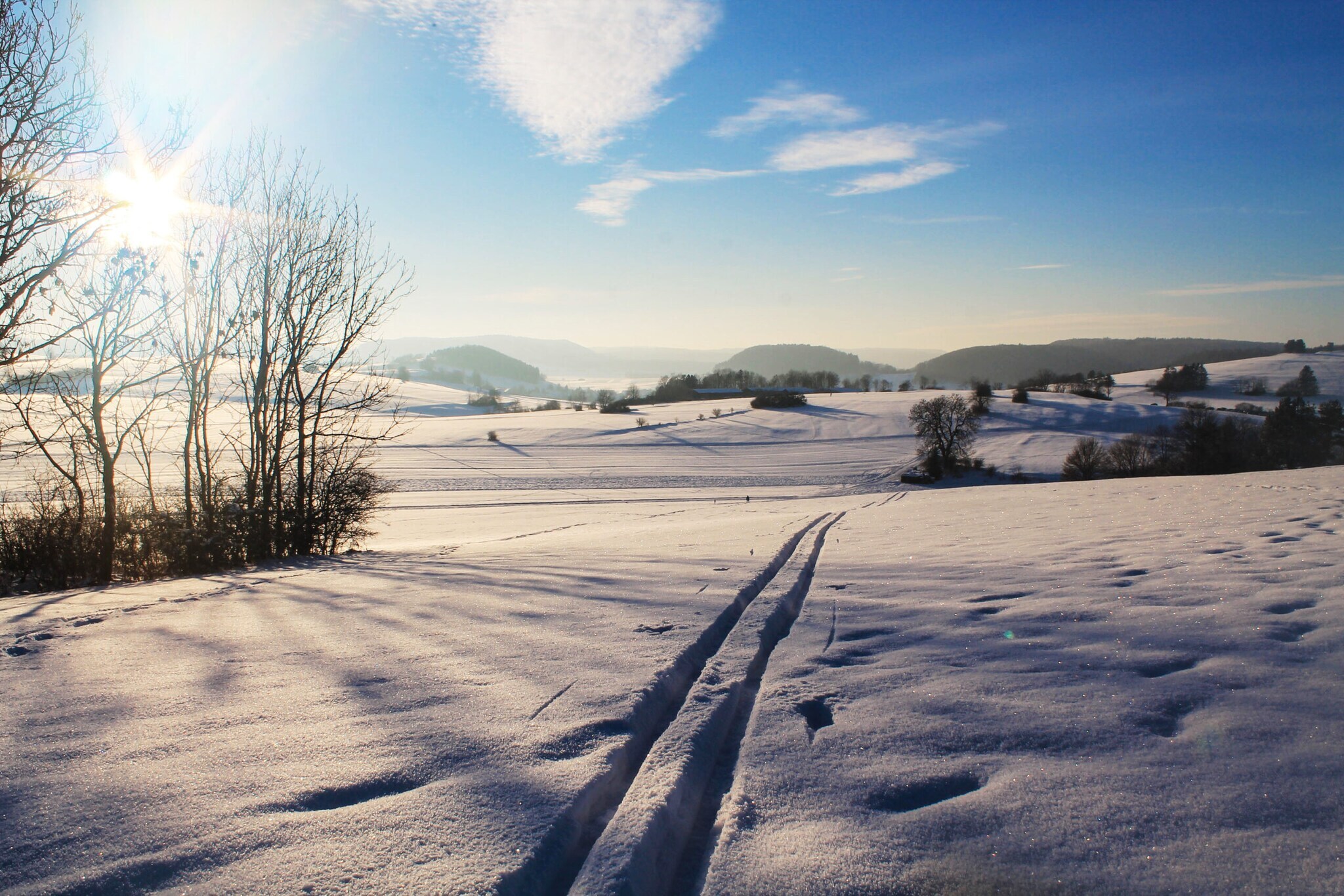 Eine Langlauf-Loipe mit weitem Blick in die ebene Landschaft.