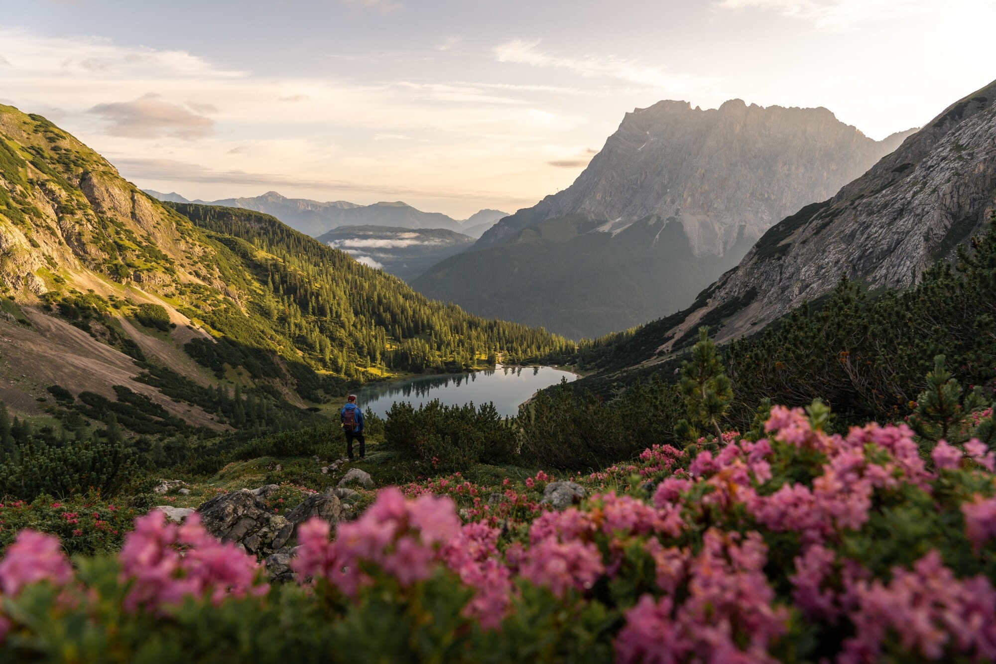 Eine Person steht an einem Bergsee inmitten grüner Vegetation vor Bergpanorama, im Vordergrund blühen rosafarbene Blumen Eine Person steht an einem Bergsee inmitten grüner Vegetation vor Bergpanorama, im Vordergrund blühen rosafarbene Blumen