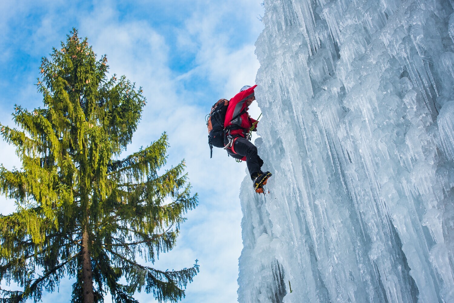 Ein Mensch klettert an einem gefrorenen Wasserfall hinauf, daneben eine große Tanne.