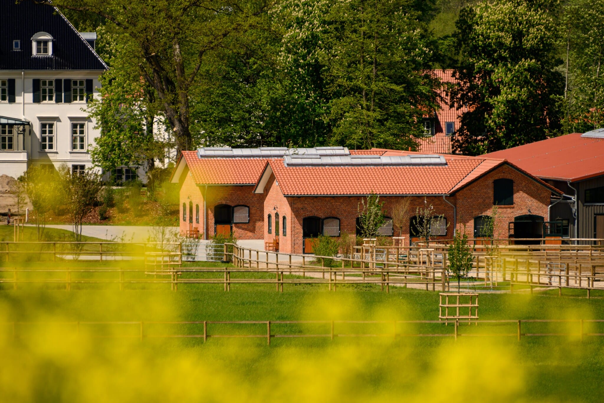 Weiden und Stallungen vor einem Herrenhaus Weiden und Stallungen vor einem Herrenhaus