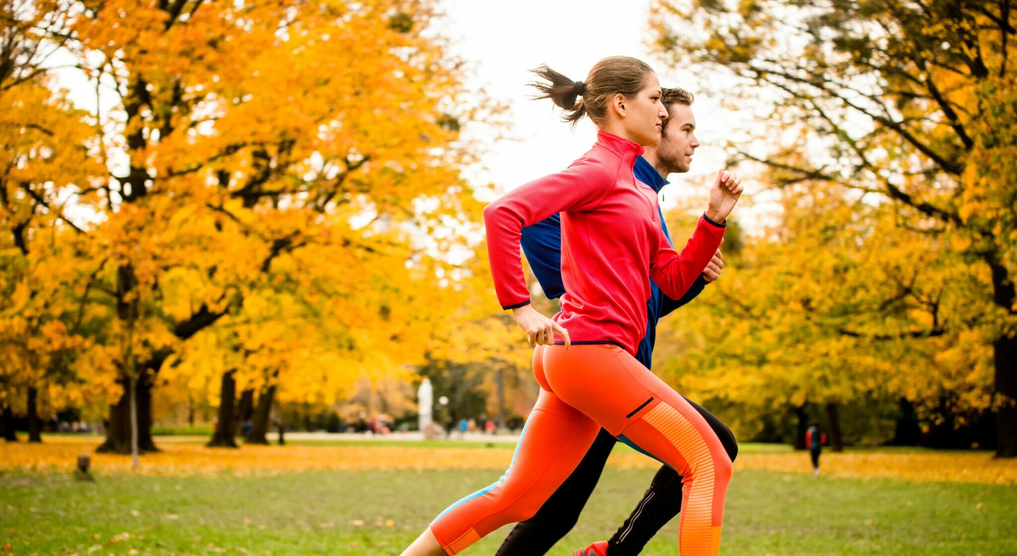 Ein Jogger und eine Joggerin in einem herbstlichen Park Ein Jogger und eine Joggerin in einem herbstlichen Park