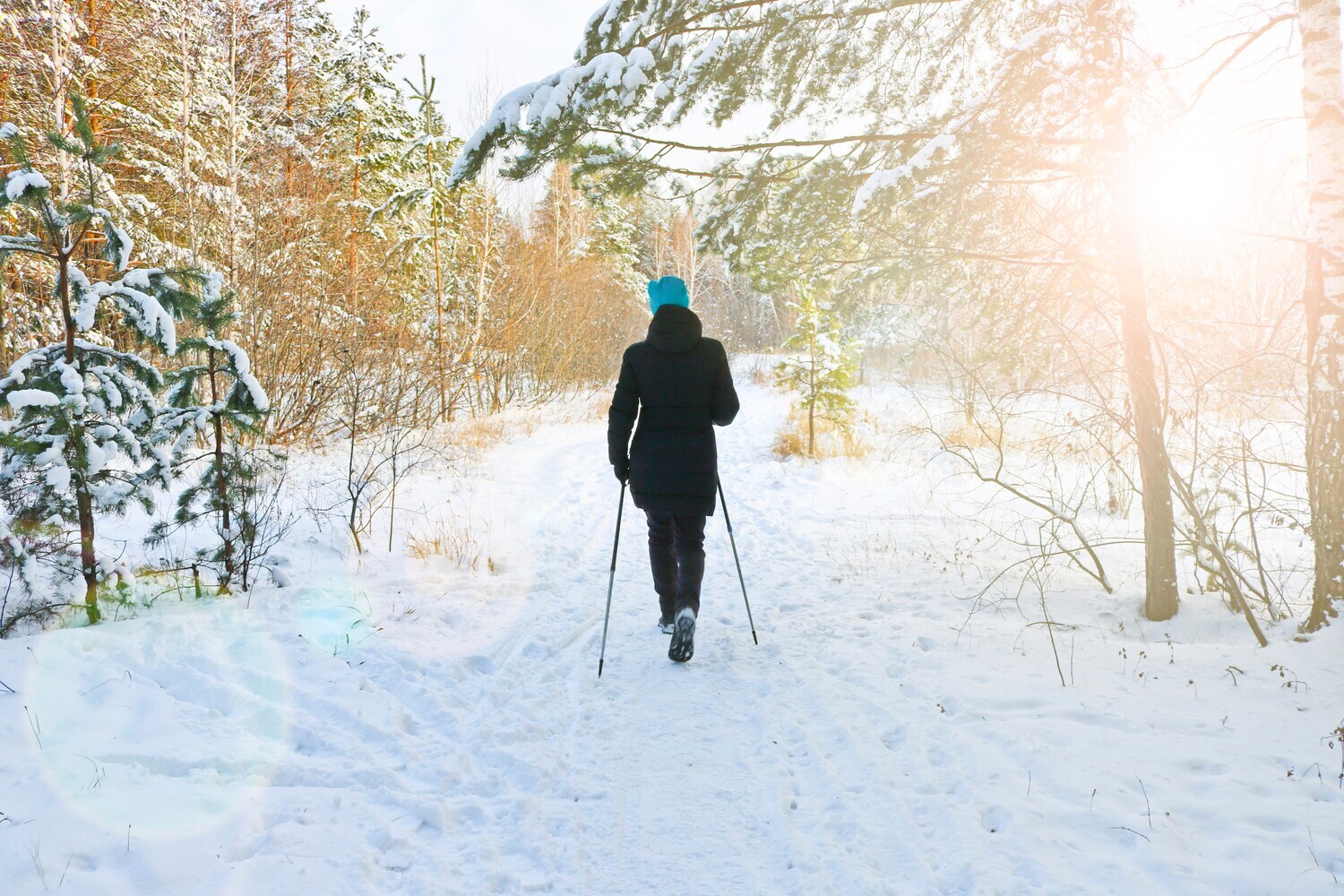 Eine Frau mit Wanderstöcken geht durch einen verschneiten Wald.