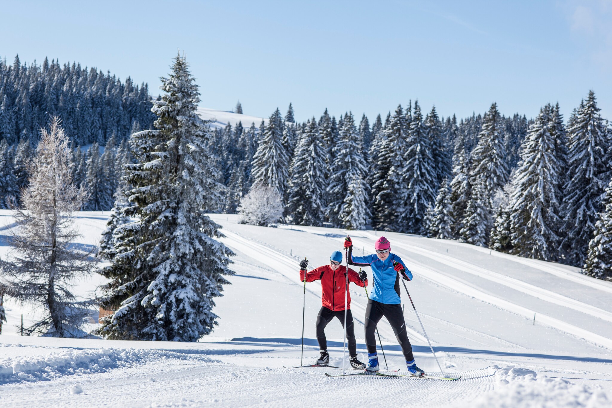 Zwei Skilangläufer skaten in hügeliger Winterlandschaft Zwei Skilangläufer skaten in hügeliger Winterlandschaft