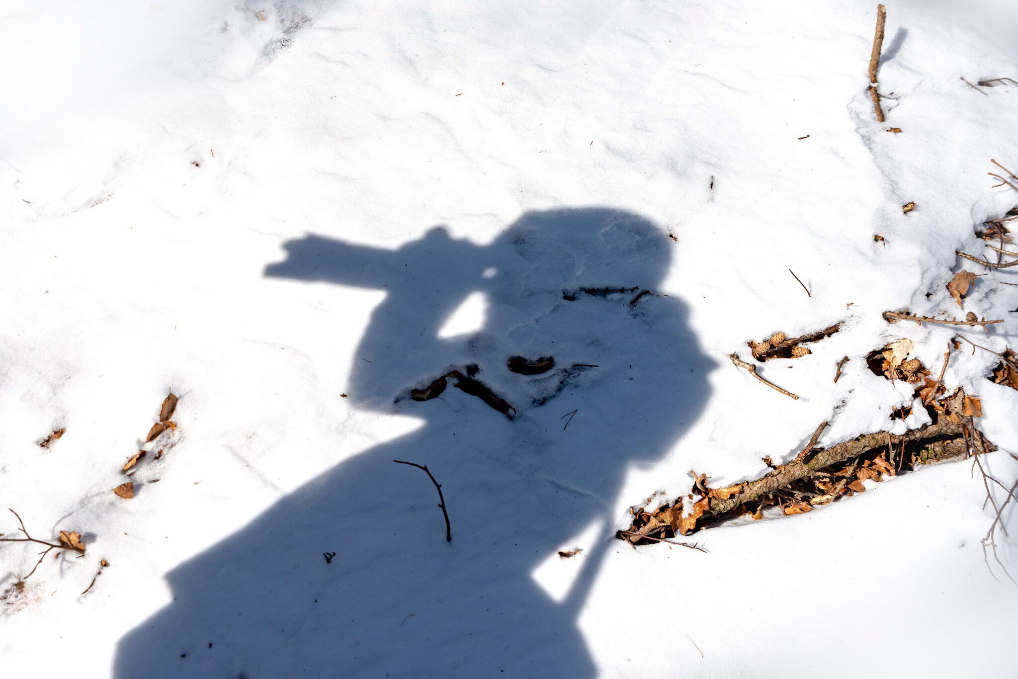 Der Schatten eines Fotografen ist im Schnee zu sehen