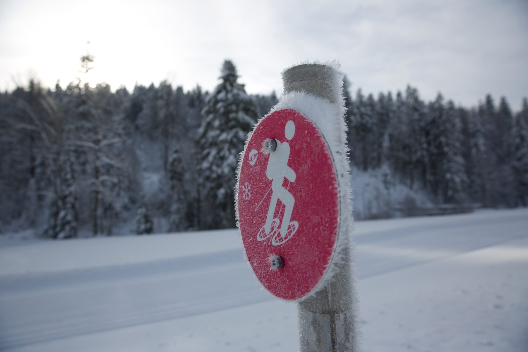Eine runde rote und verreiste Markierung einer Schneeschuh-Route