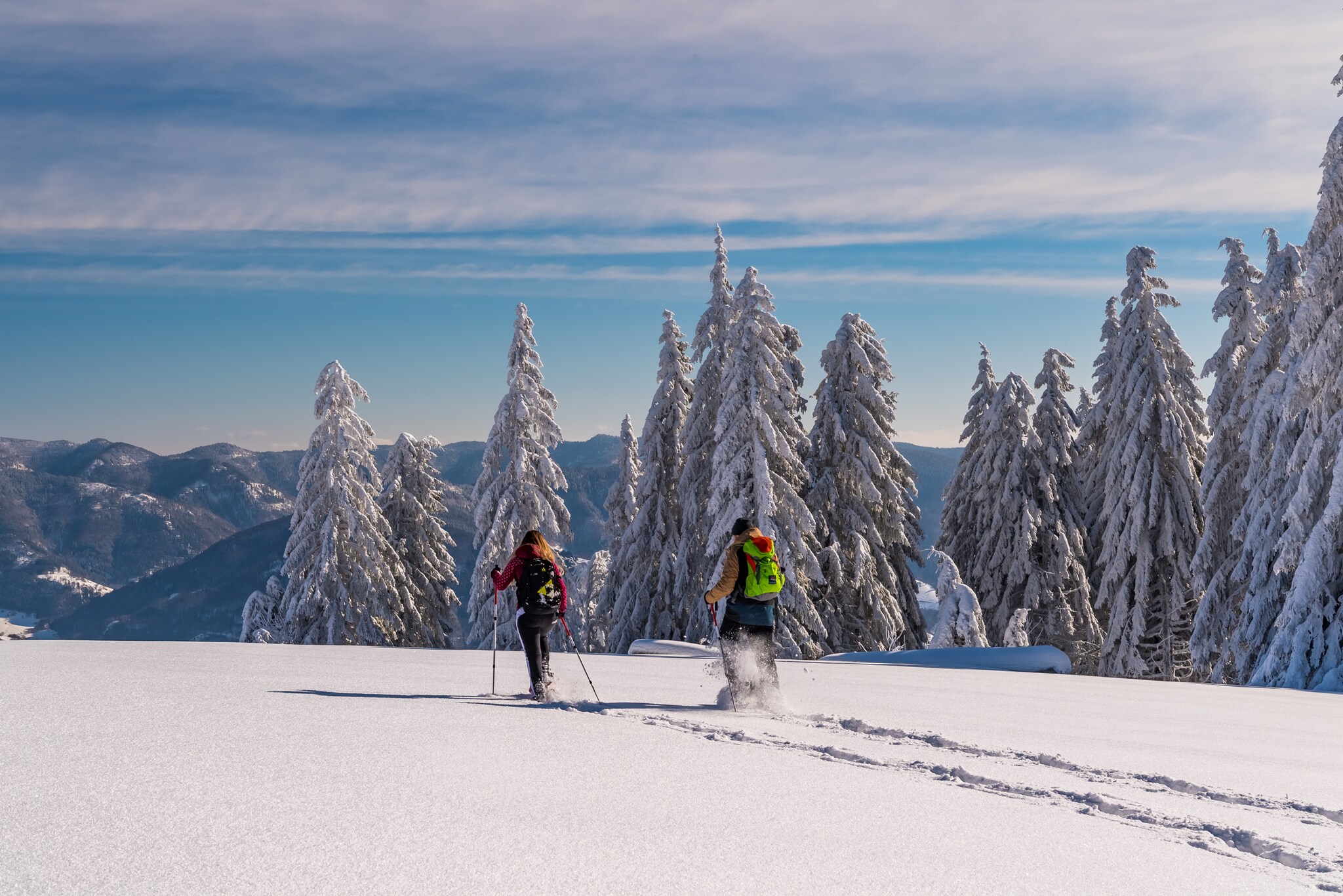 Zwei Schneeschuhwander:innen auf einem verschneiten Berg neben eingeschneiten Tannen