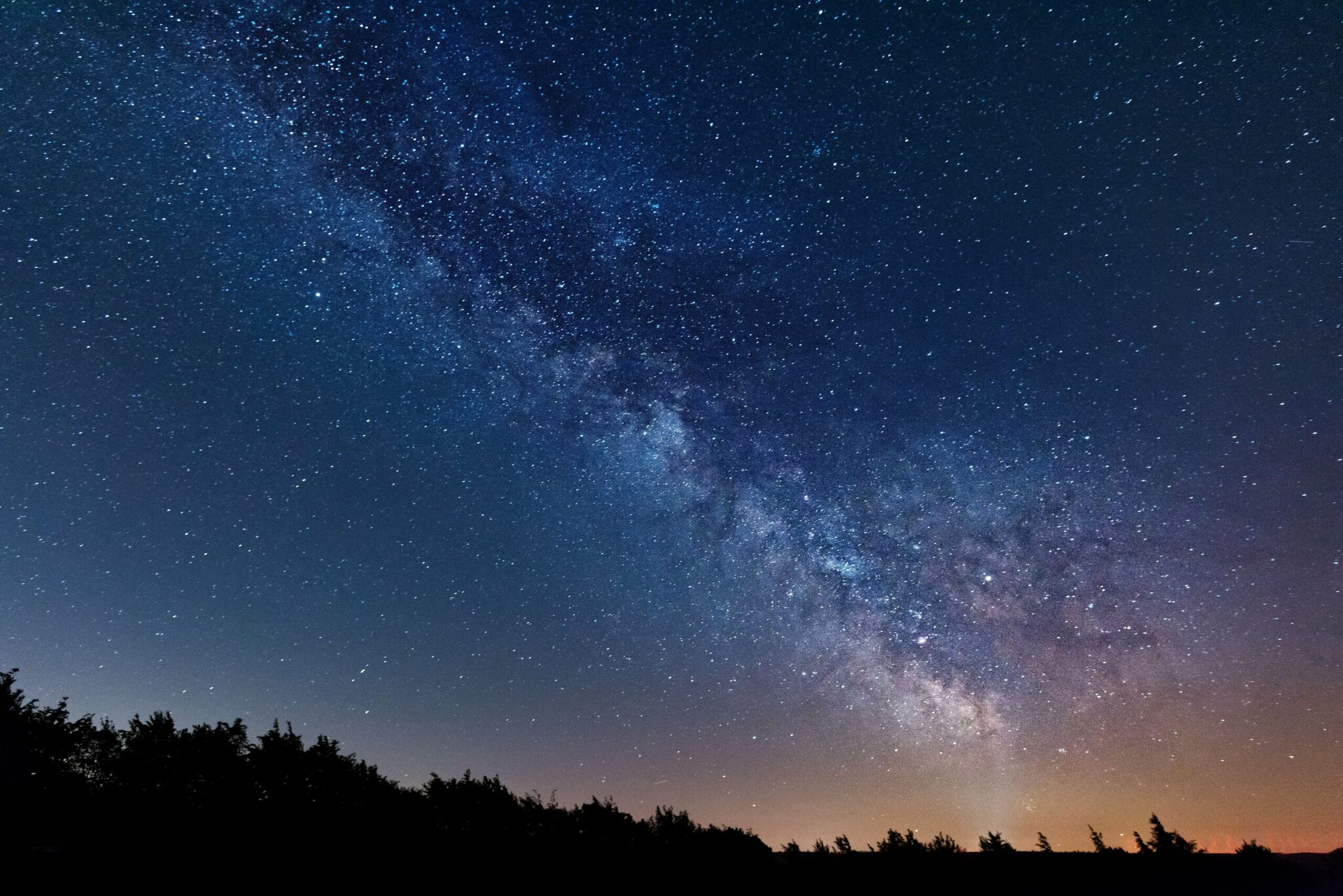 Nächtlicher Sternenhimmel mit Milchstraße über Wald