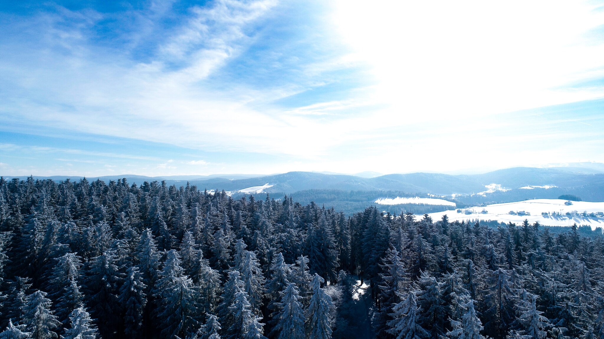 Blick über schneebedeckte Wälder und Berge