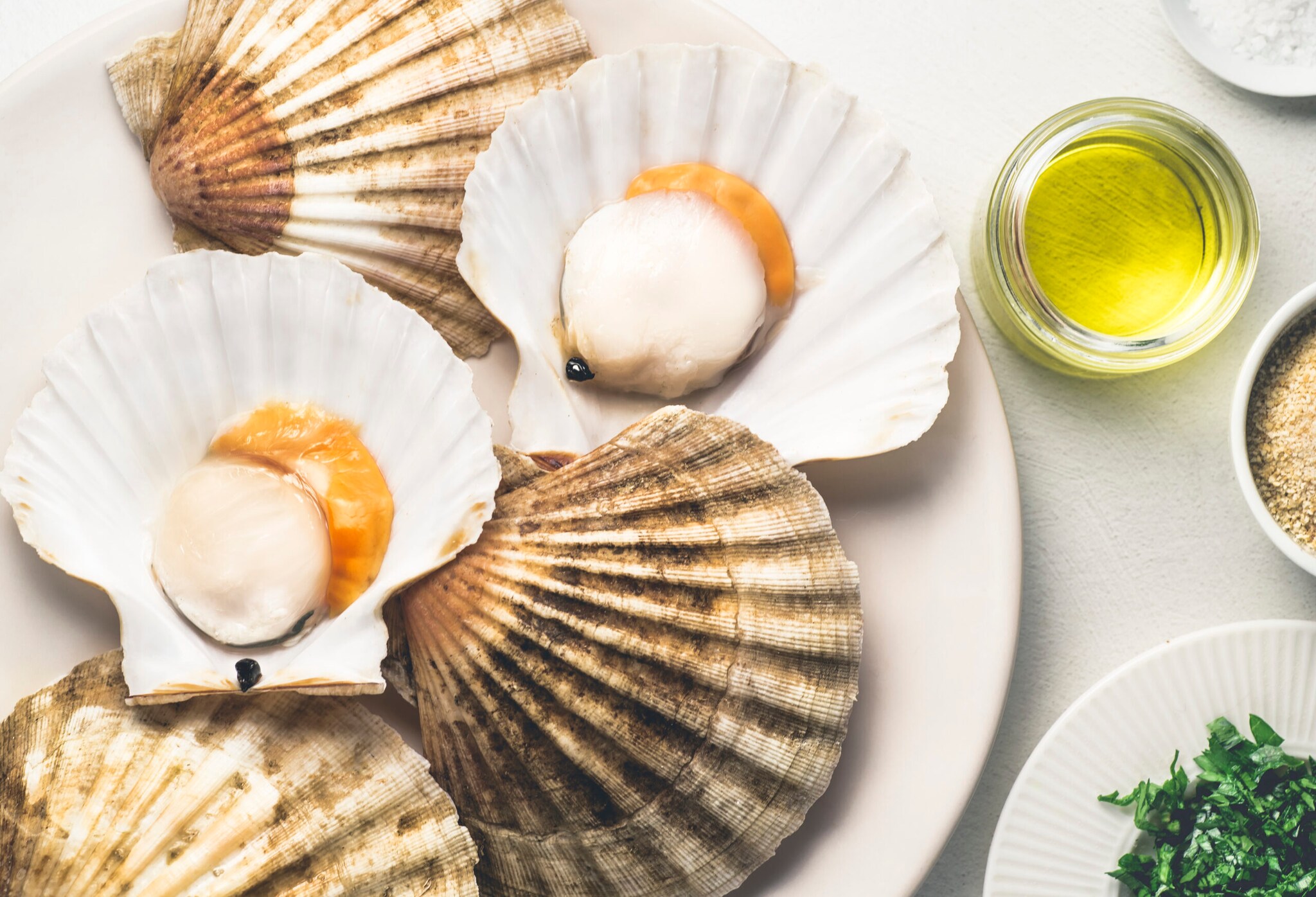 Frische Jakobsmuscheln mit Rogensack, Petersilie und Olivenöl angerichtet