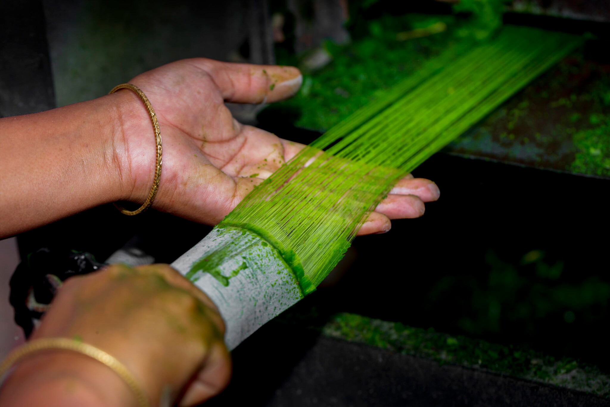 Zwei Hände, die Fasern eines Ananas-Blattes waschen.