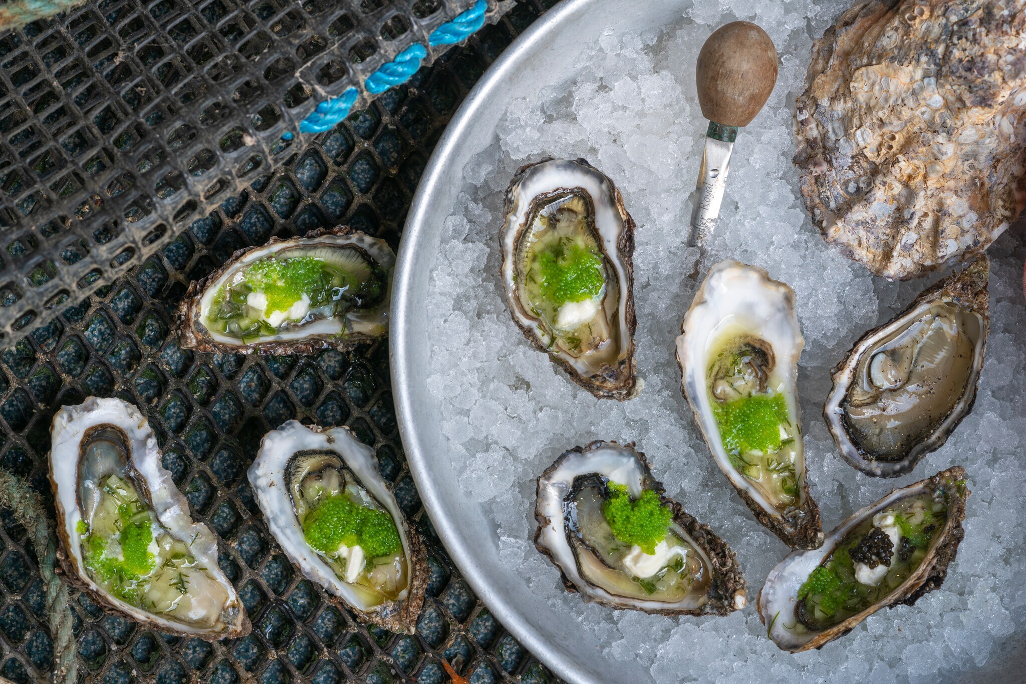 Austern auf Eis gekühlt