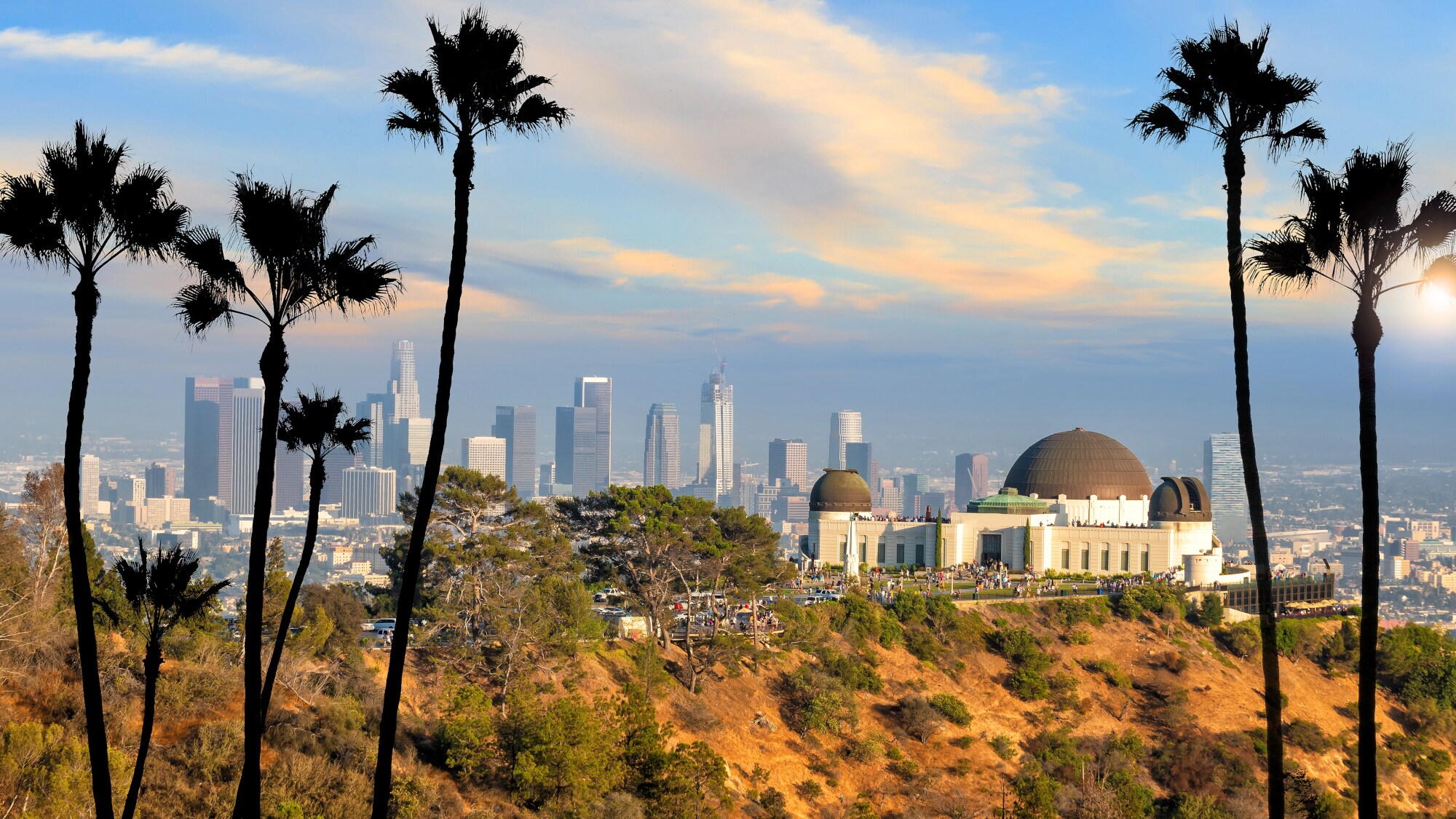 Das Griffith-Observatorium vor der Skyline von Los Angeles, im Vordergrund Palmen