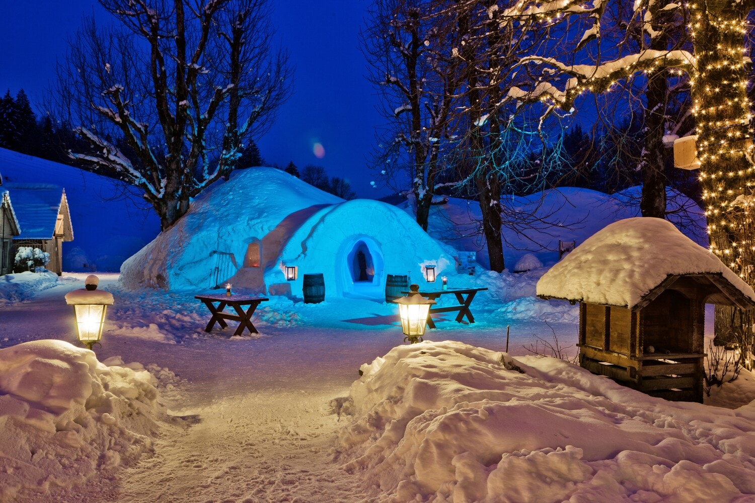Ein Iglu in einer schneebedeckten Umgebung, daneben Tische und Bäume Ein Iglu in einer schneebedeckten Umgebung, daneben Tische und Bäume
