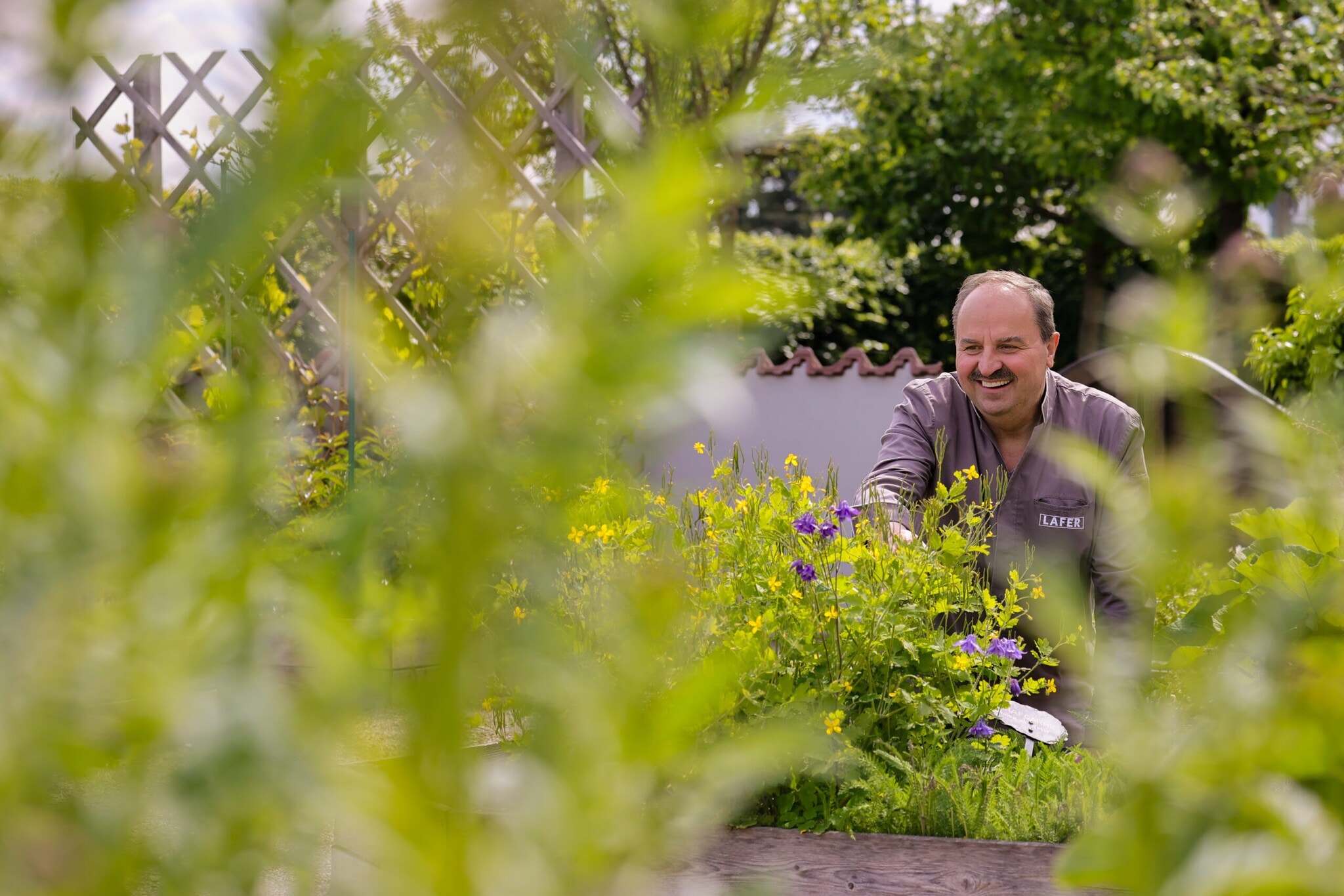 Starkoch Johann Lafer kniet in an einem Kräuterbeet in einem Garten, im Vordergrund Pflanzen Starkoch Johann Lafer kniet in an einem Kräuterbeet in einem Garten, im Vordergrund Pflanzen