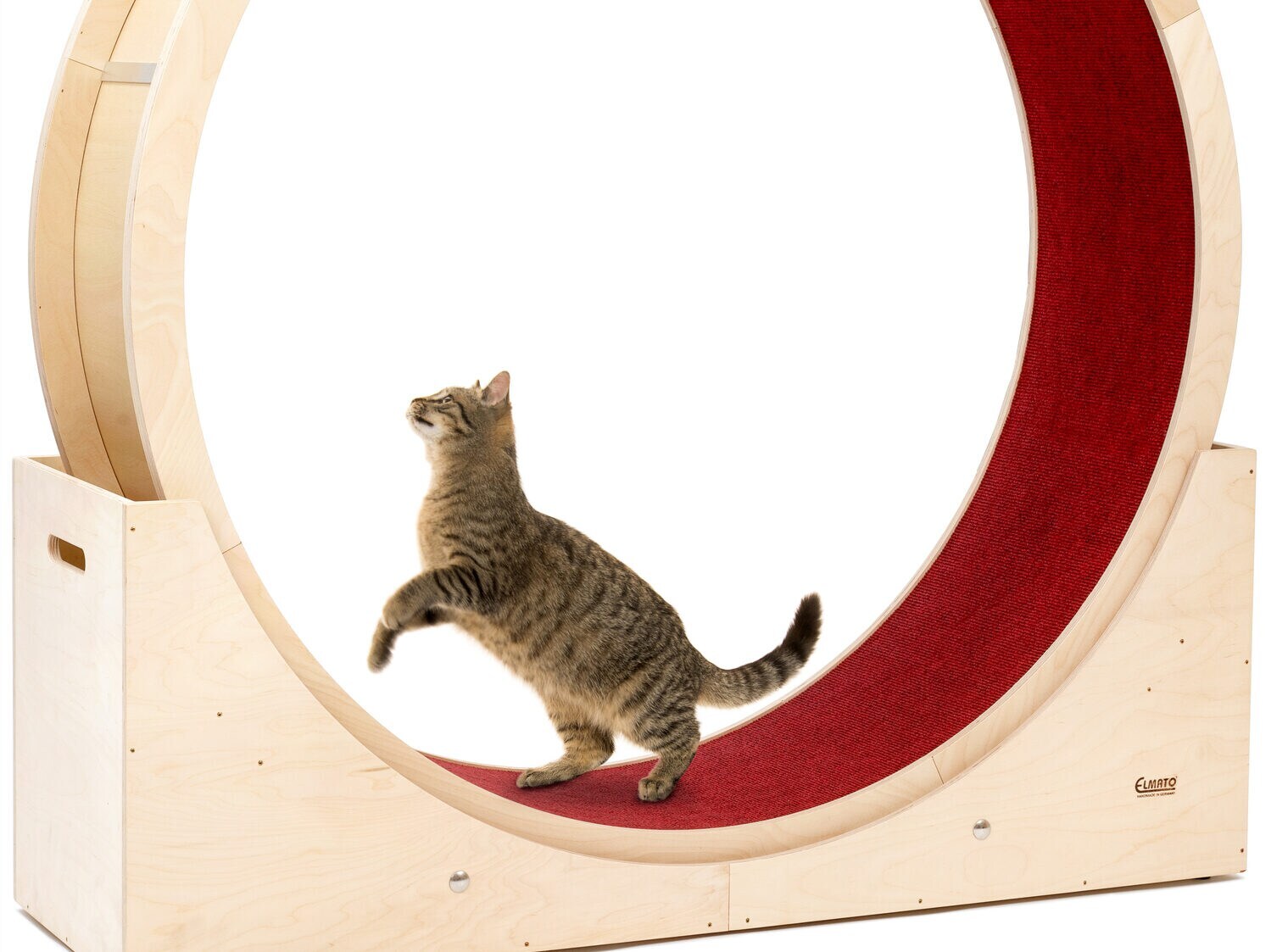 Eine getigerte Katze in einem Laufrad aus hellem Holz