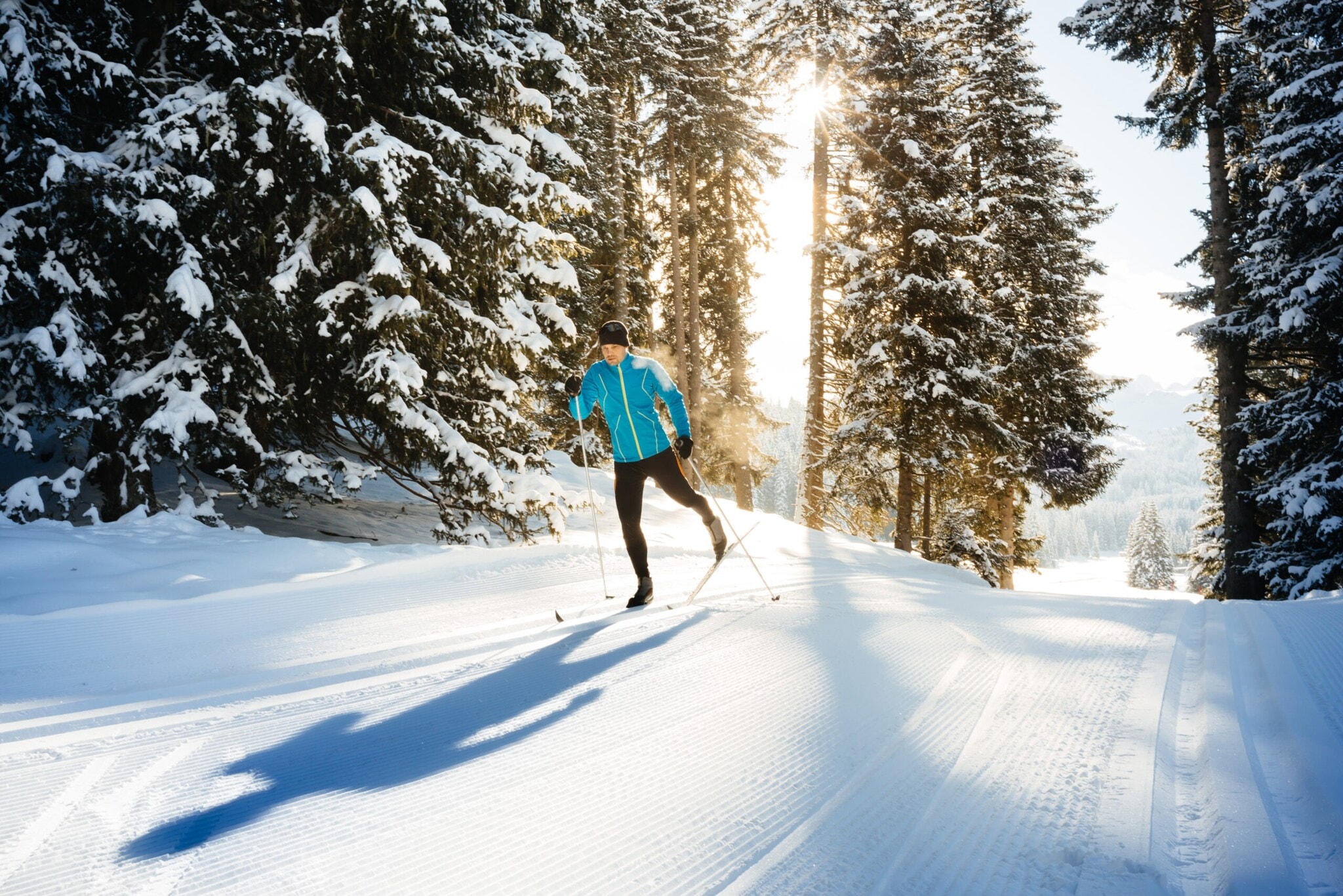 Ein Skilangläufer im klassischen Stil fährt durch den verschneiten Wald Ein Skilangläufer im klassischen Stil fährt durch den verschneiten Wald