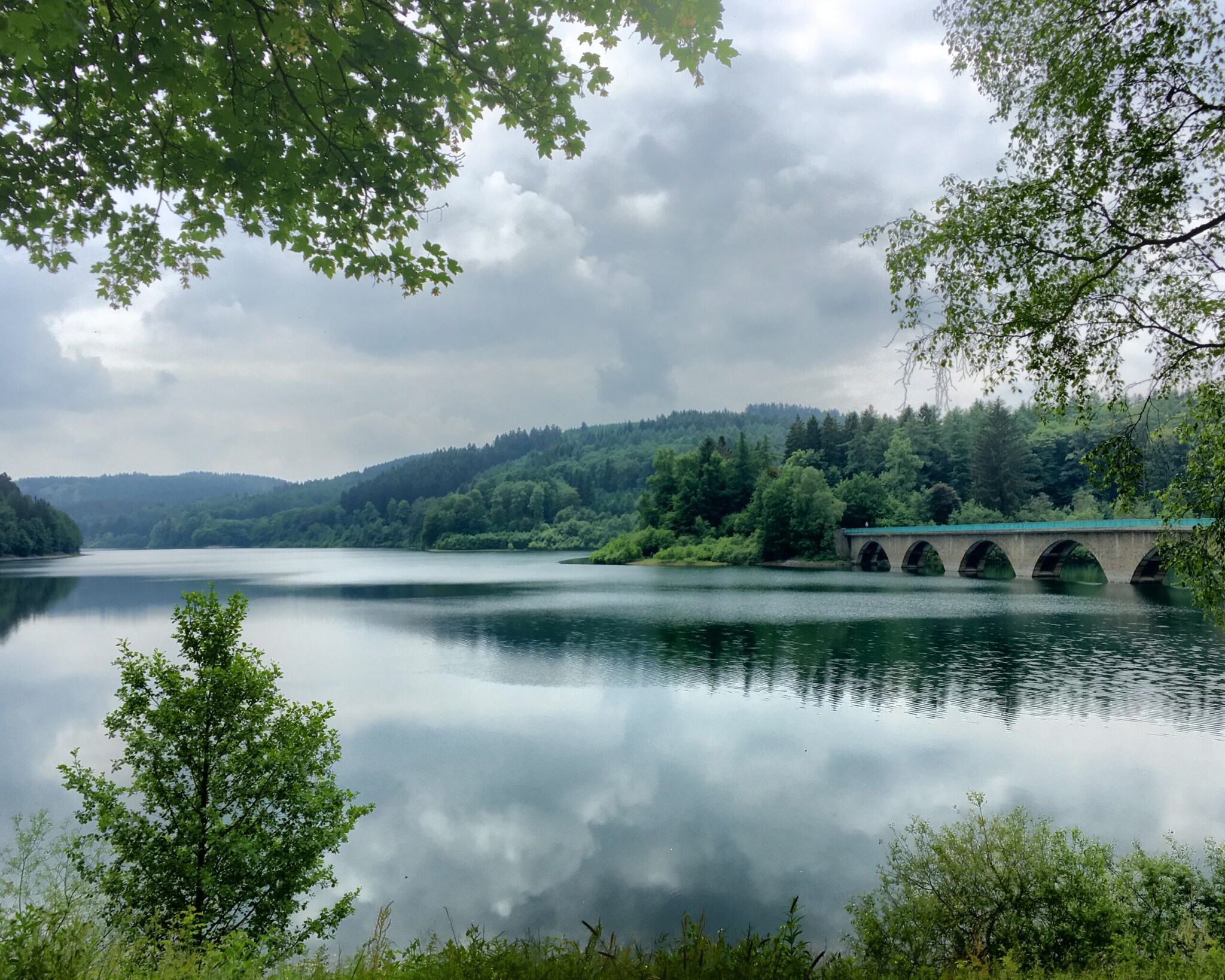 Ein von Wald umgebener See