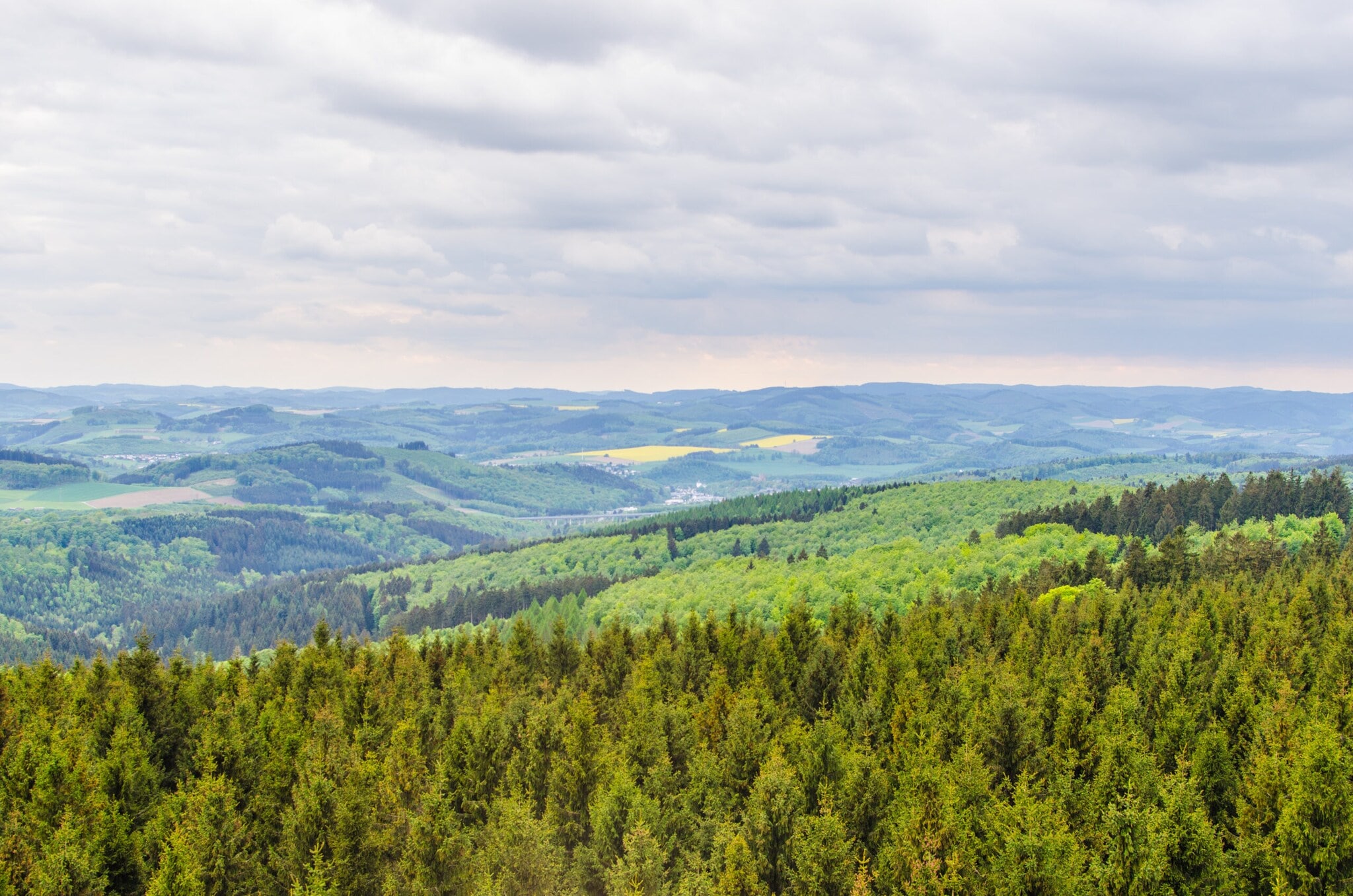 Blick von oben auf eine bewaldete Landschaft
