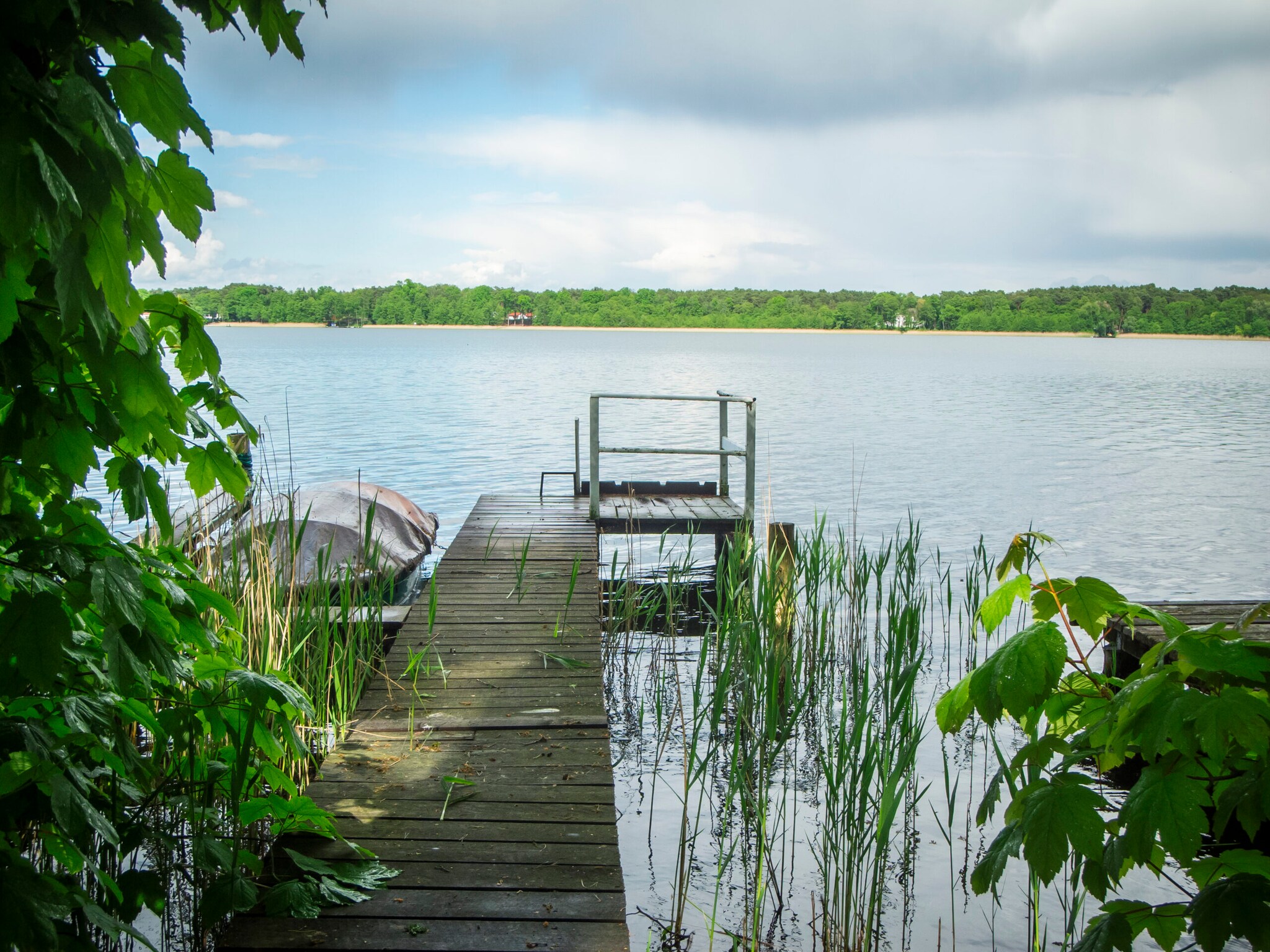 Steg an einem von Bäumen und Grünpflanzen umgebenen See