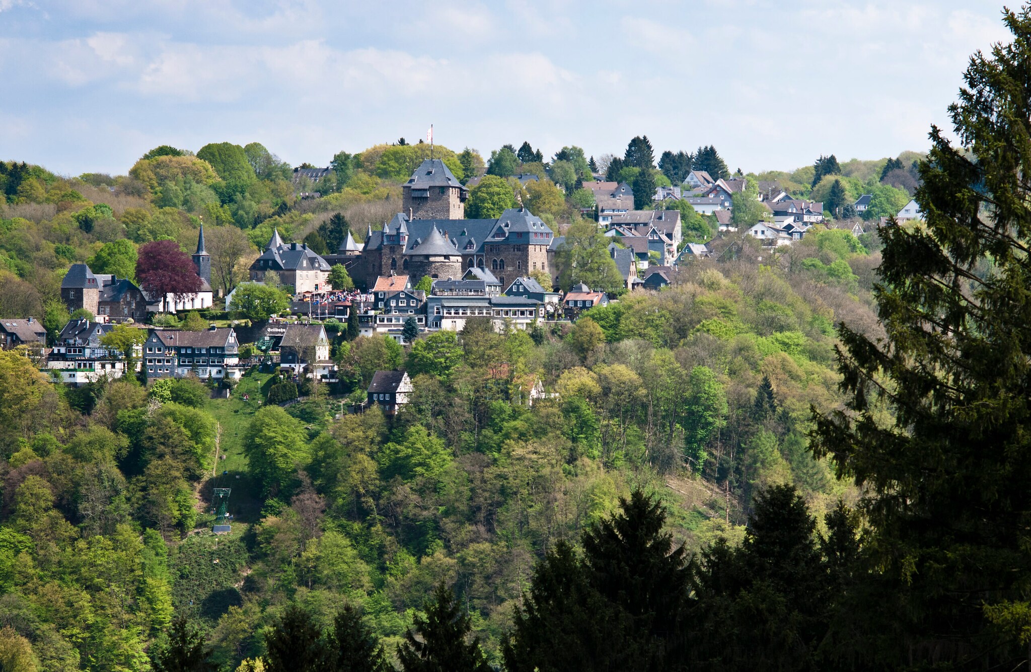Eine Burg umgeben von Wald