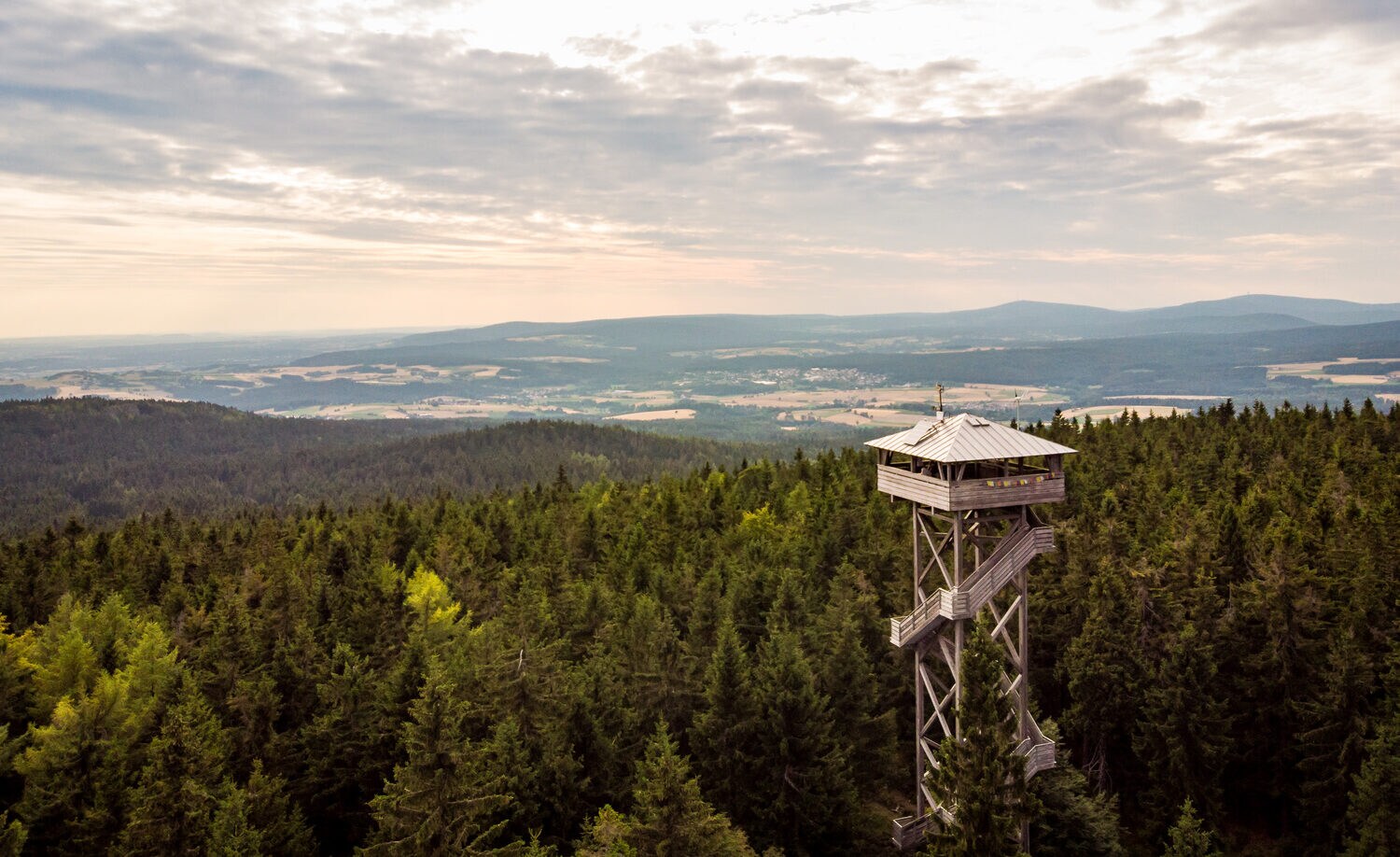 Aussichtsturm inmitten eines Waldes