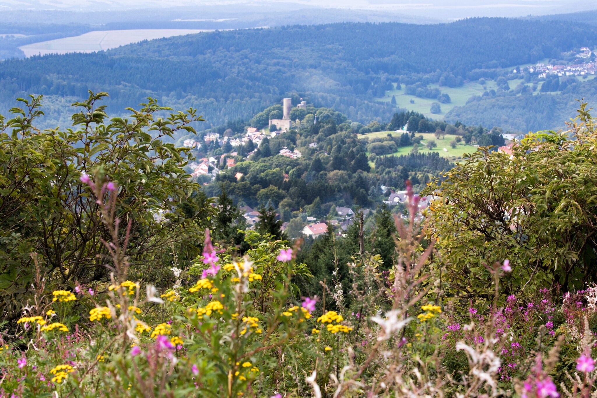 Die Burg Reifenberg aus der Ferne.