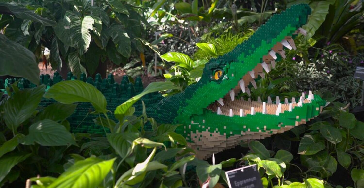 Ein Krokodil aus Plastikspielsteinen.