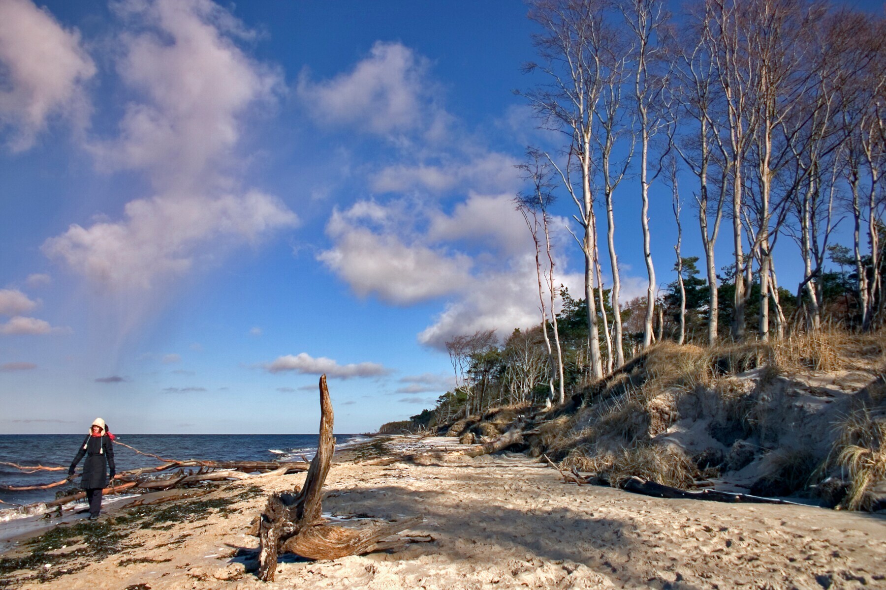 Eine Frau geht warm eingepackt an einem wilden Strand spazieren Eine Frau geht warm eingepackt an einem wilden Strand spazieren