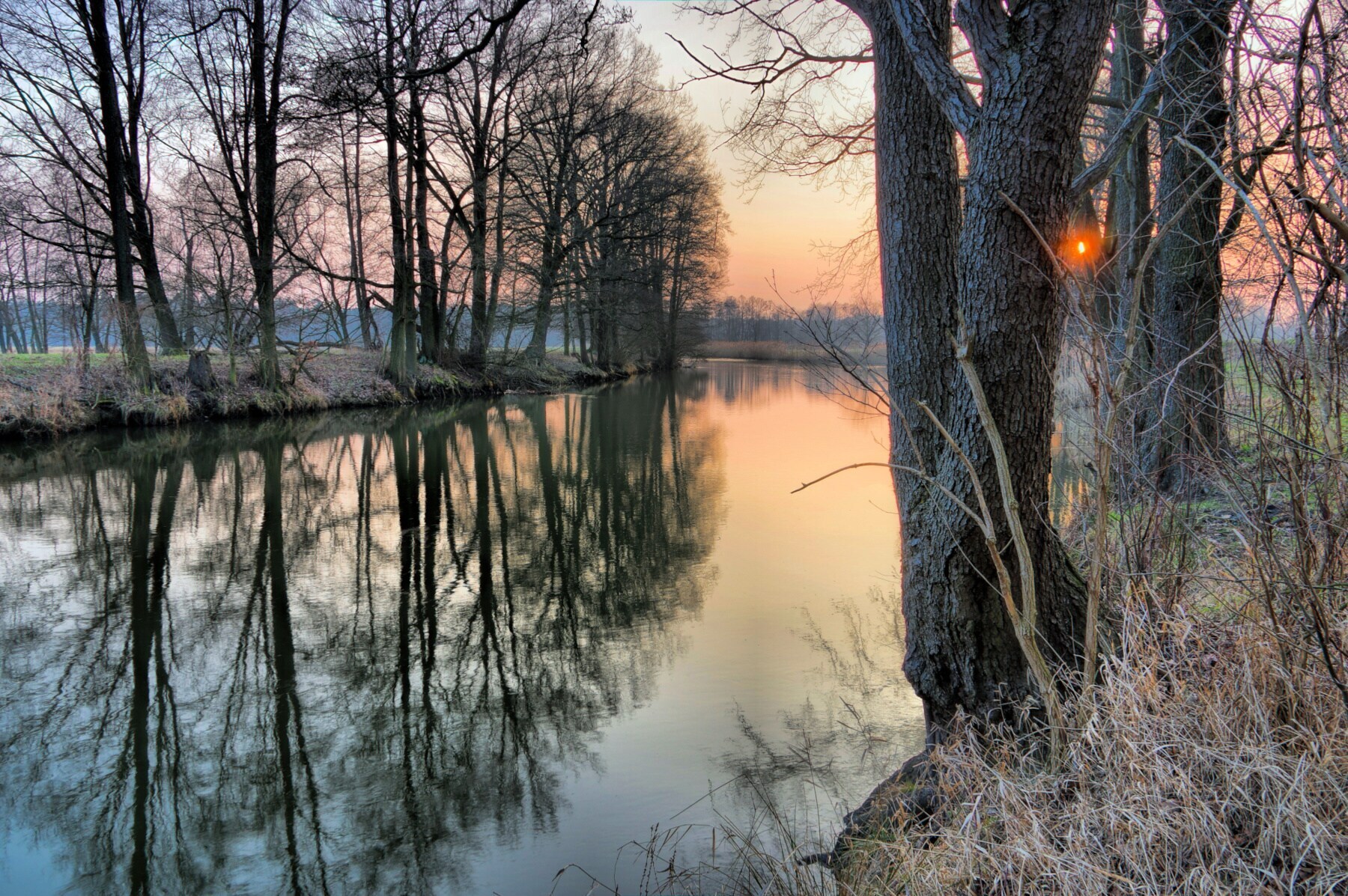Ein von Bäumen gesäumter Fluss im Winter