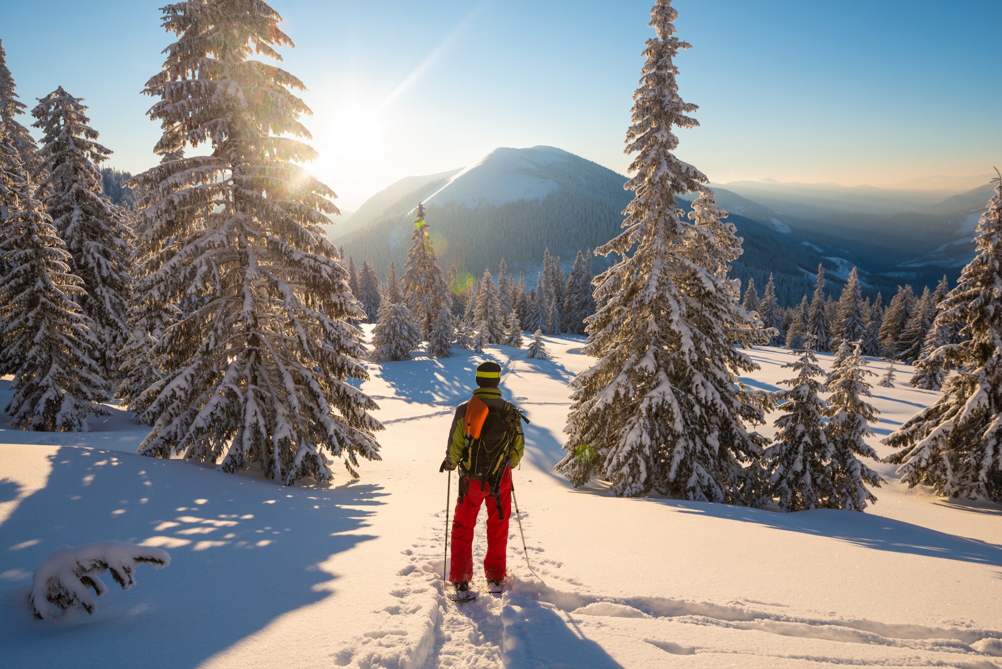 Ein Schneeschuhwanderer auf einem Berg zwischen beschneiten Tannen