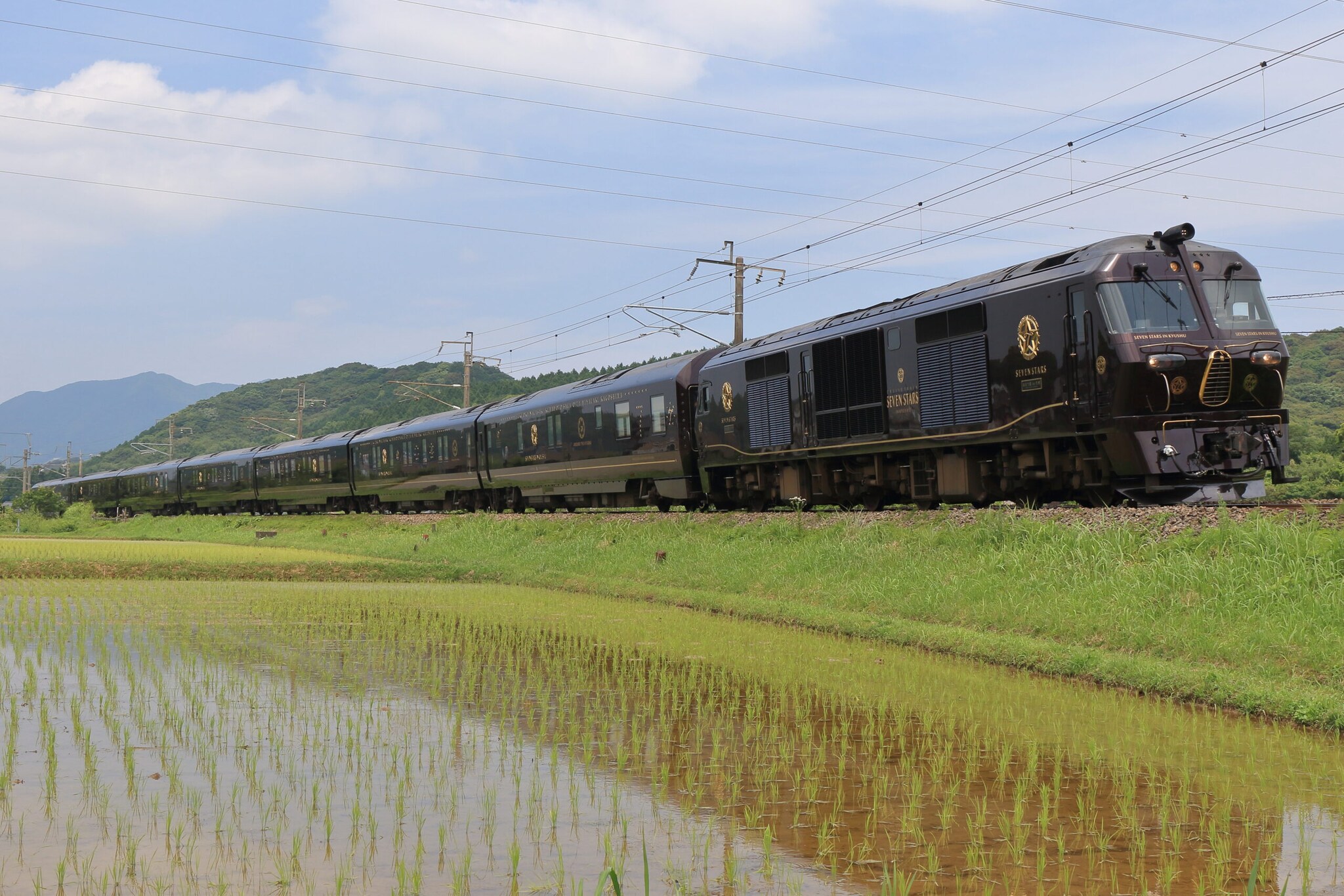 Ein schwarzer Zug fährt durch eine grüne Landschaft an einem Reisfeld entlang