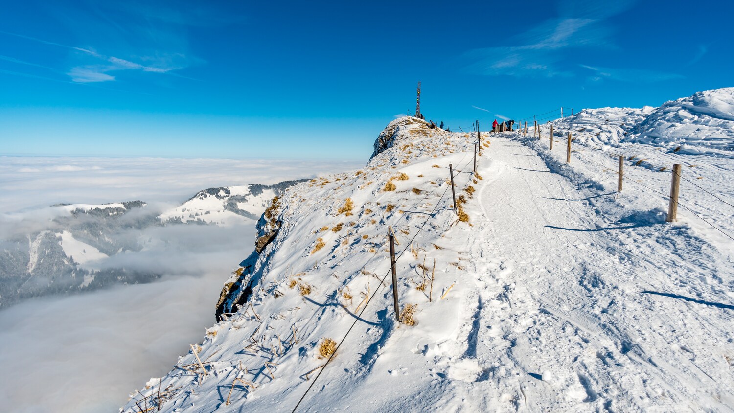 Der Weg zum Gipfel des Hochgrat.